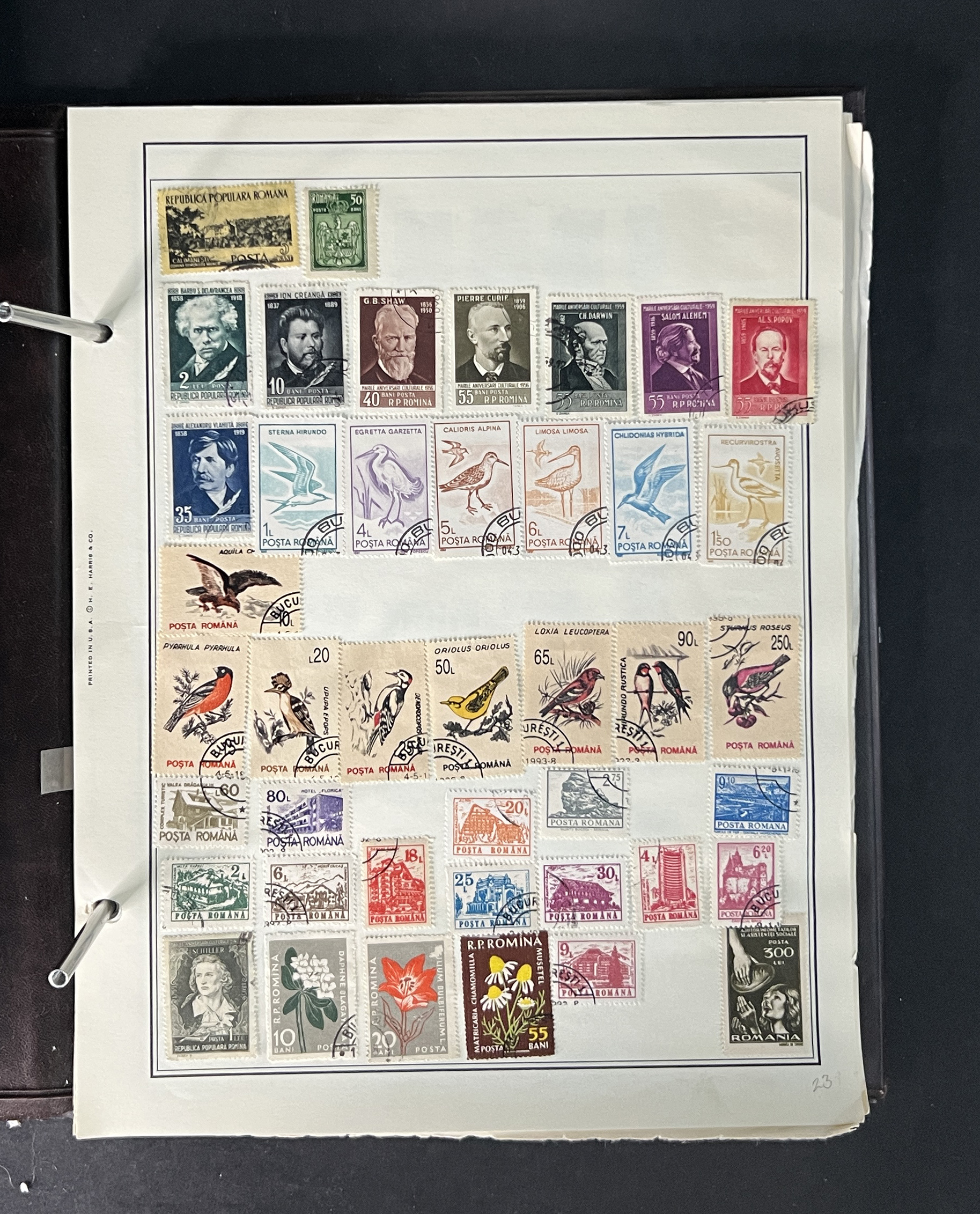 20250929_230217596_iOS.jpg