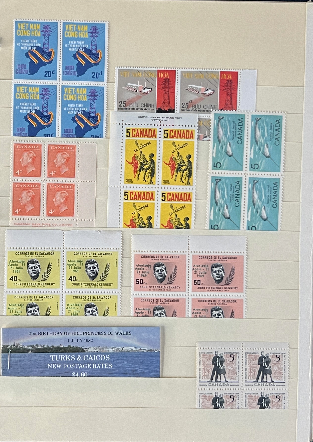 20260209_185102586_iOS.jpg