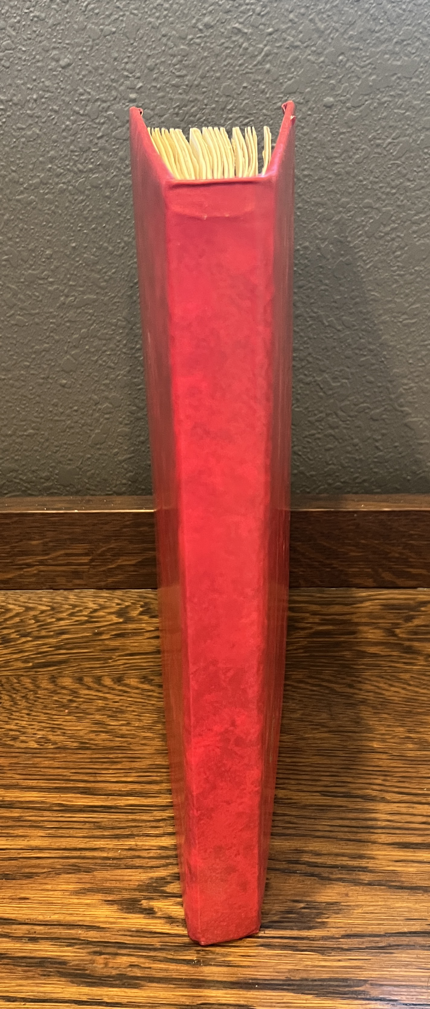 20260209_174618669_iOS.jpg
