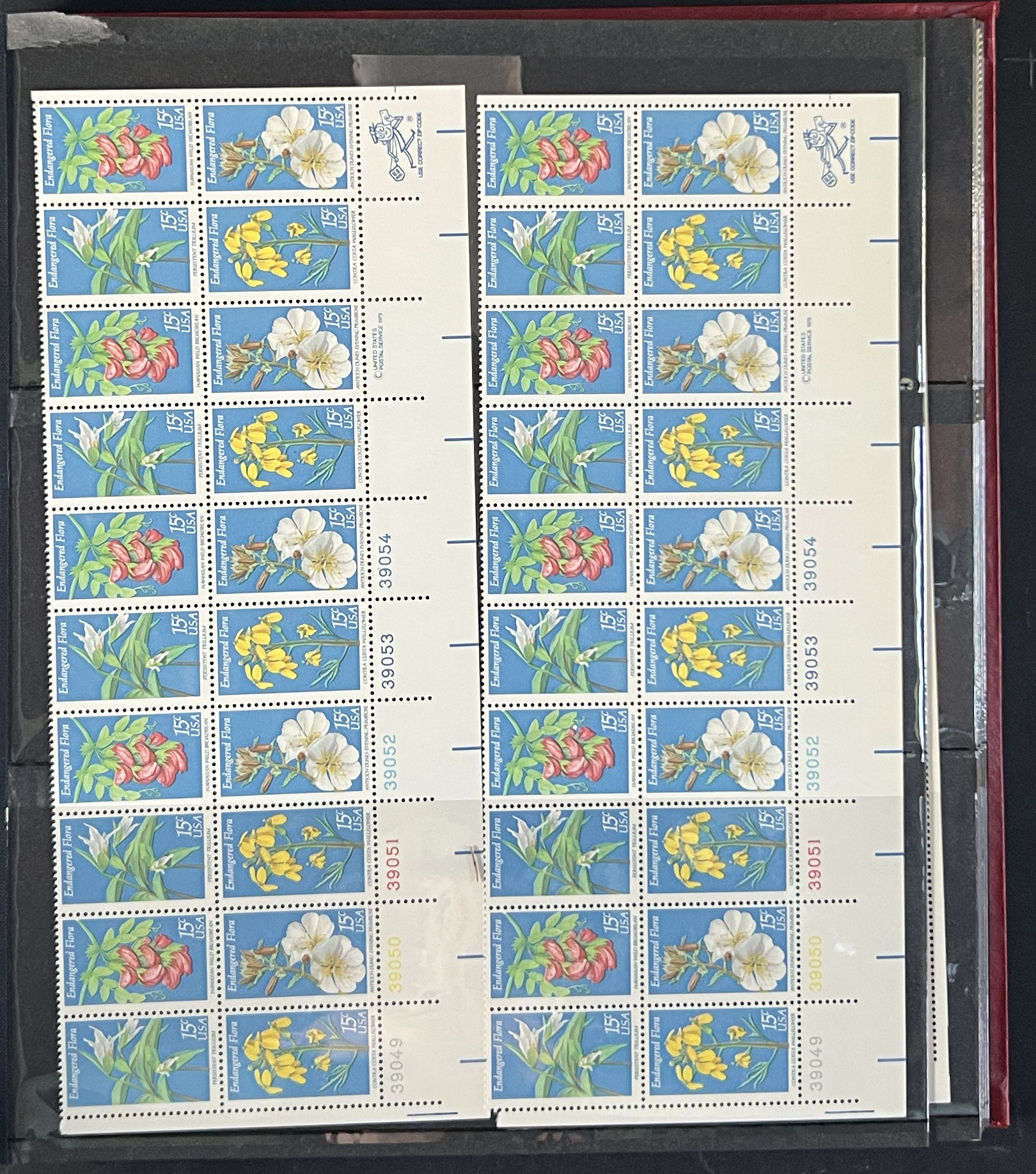 20260209_191729649_iOS.jpg