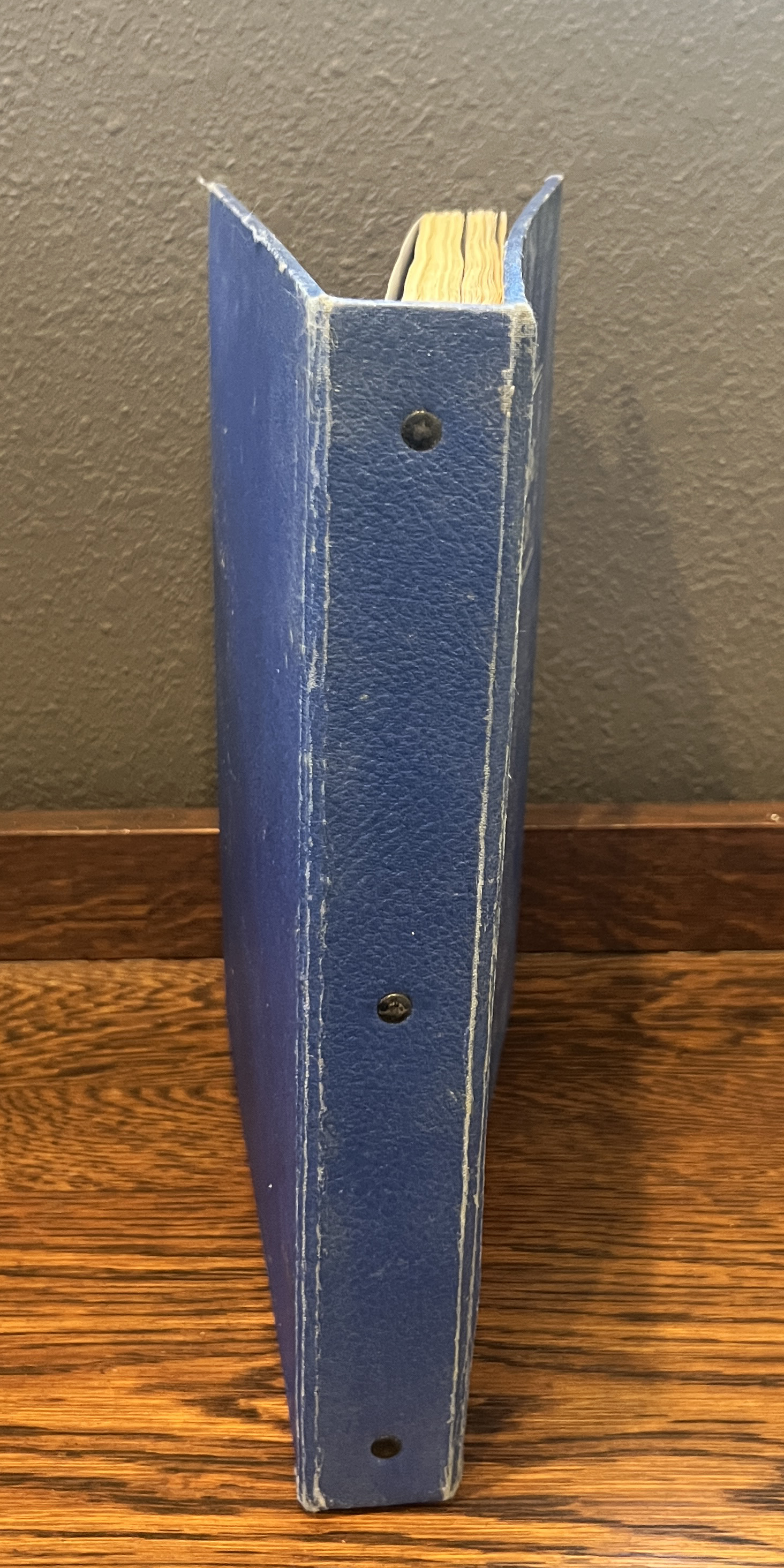 20260209_190706117_iOS.jpg