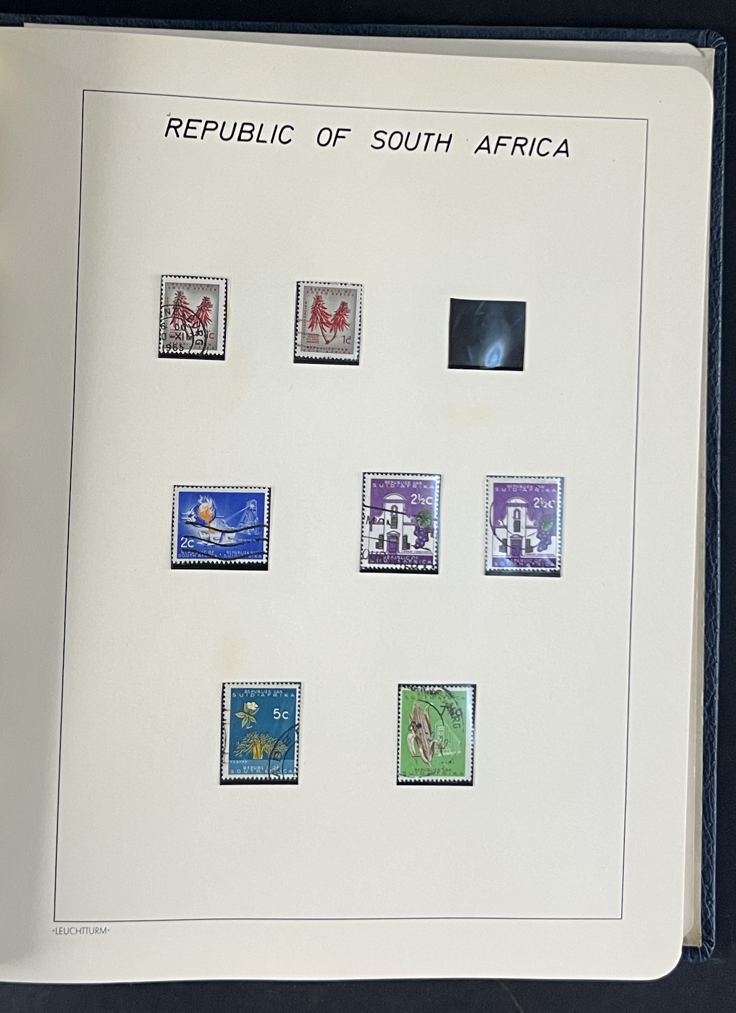 20260209_175854025_iOS.jpg