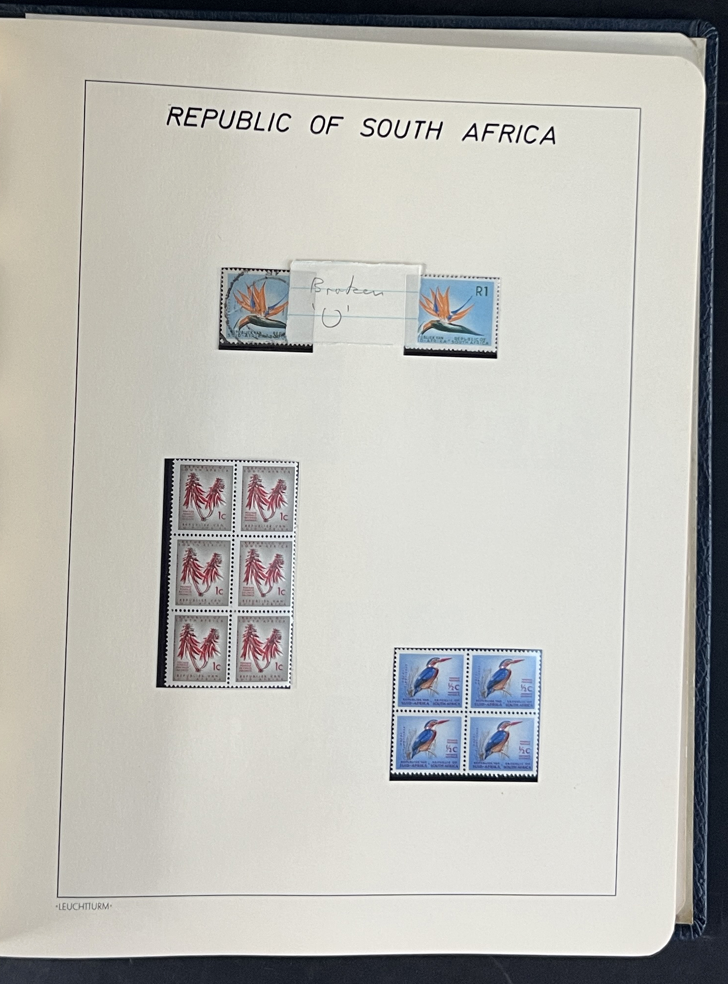 20260209_175903585_iOS.jpg
