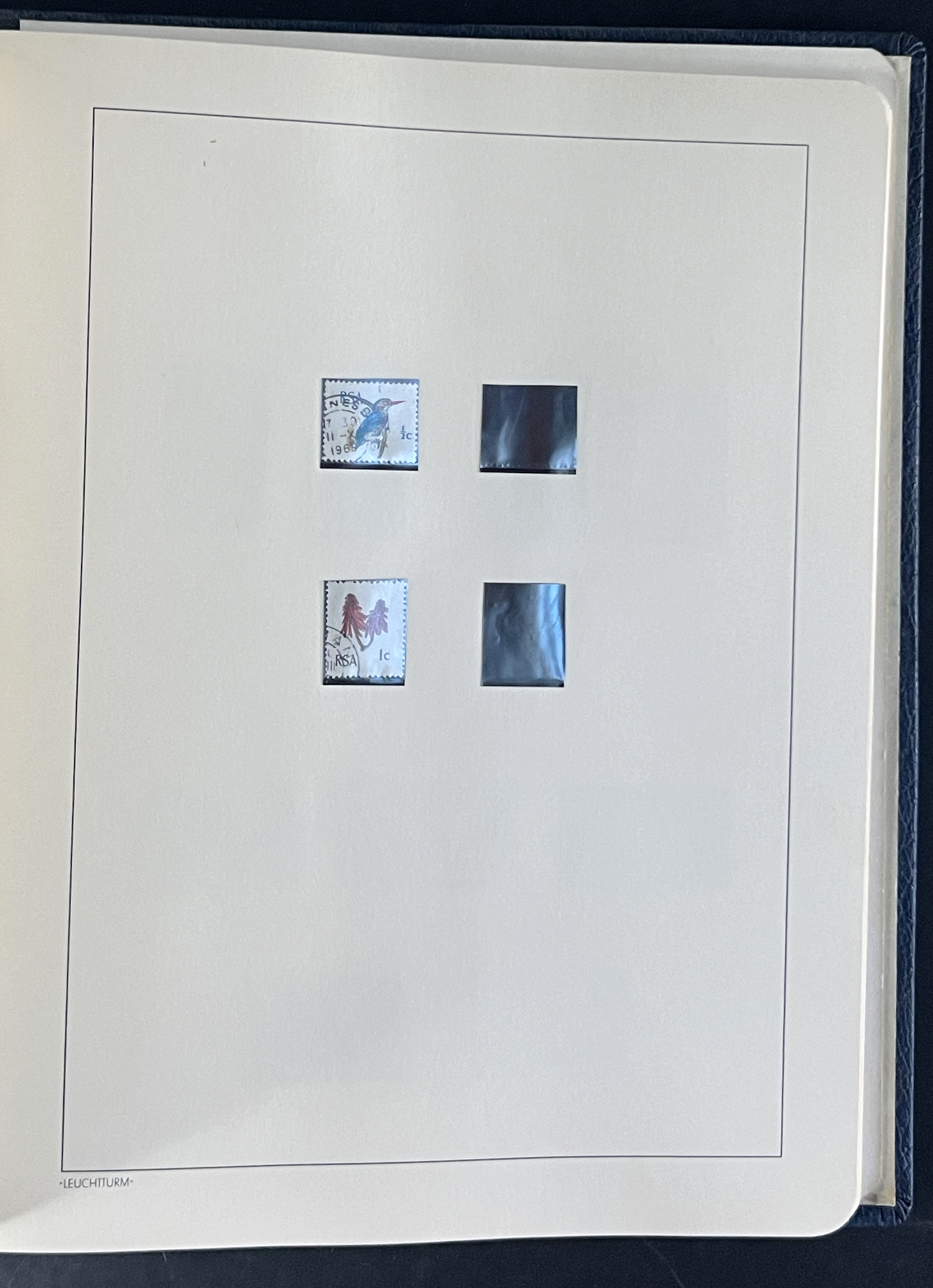 20260209_180015443_iOS.jpg