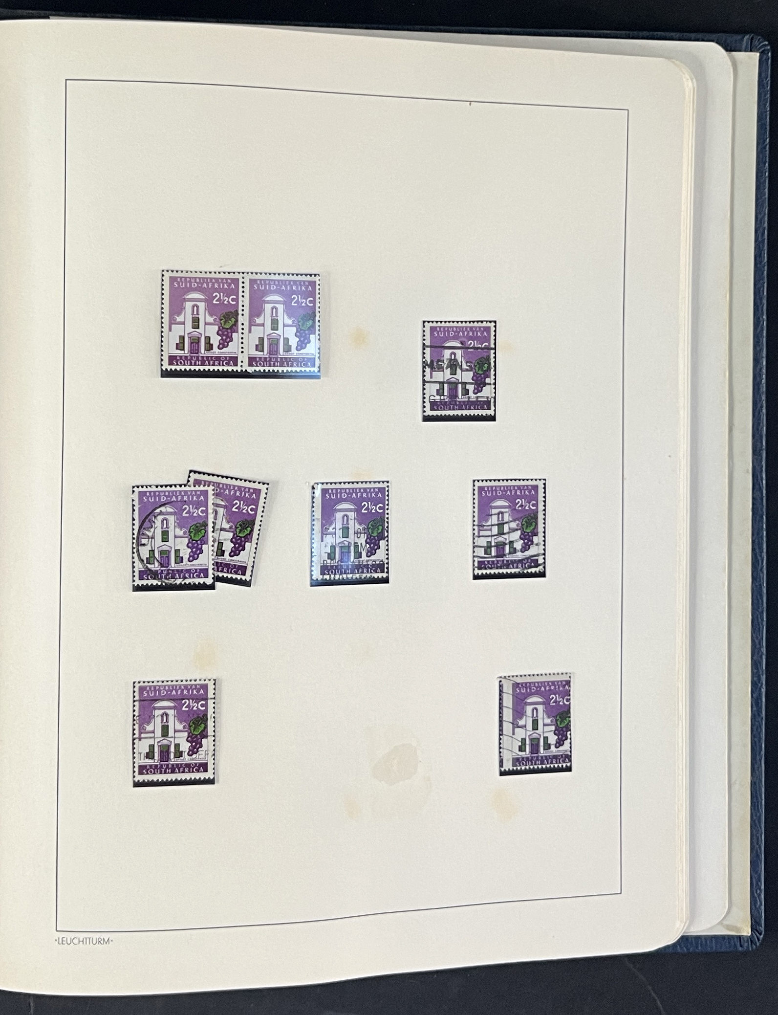 20260209_180048869_iOS.jpg