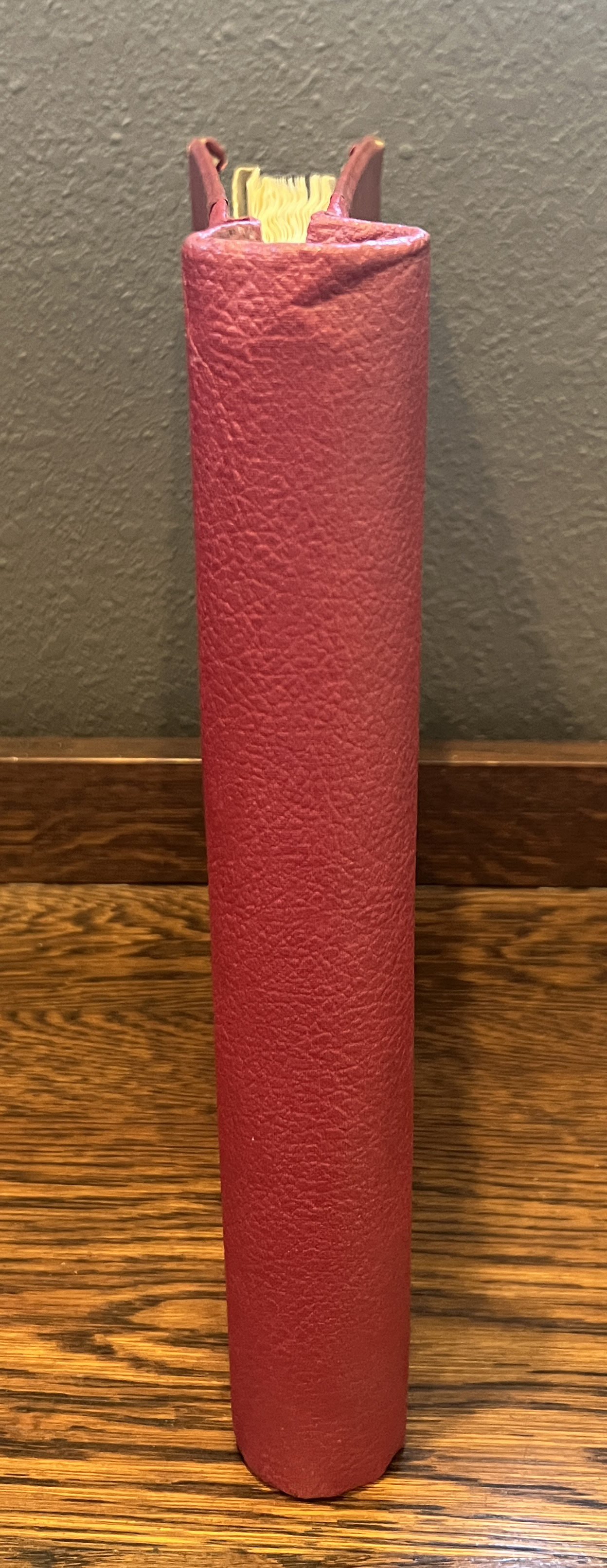 20260209_174912449_iOS.jpg