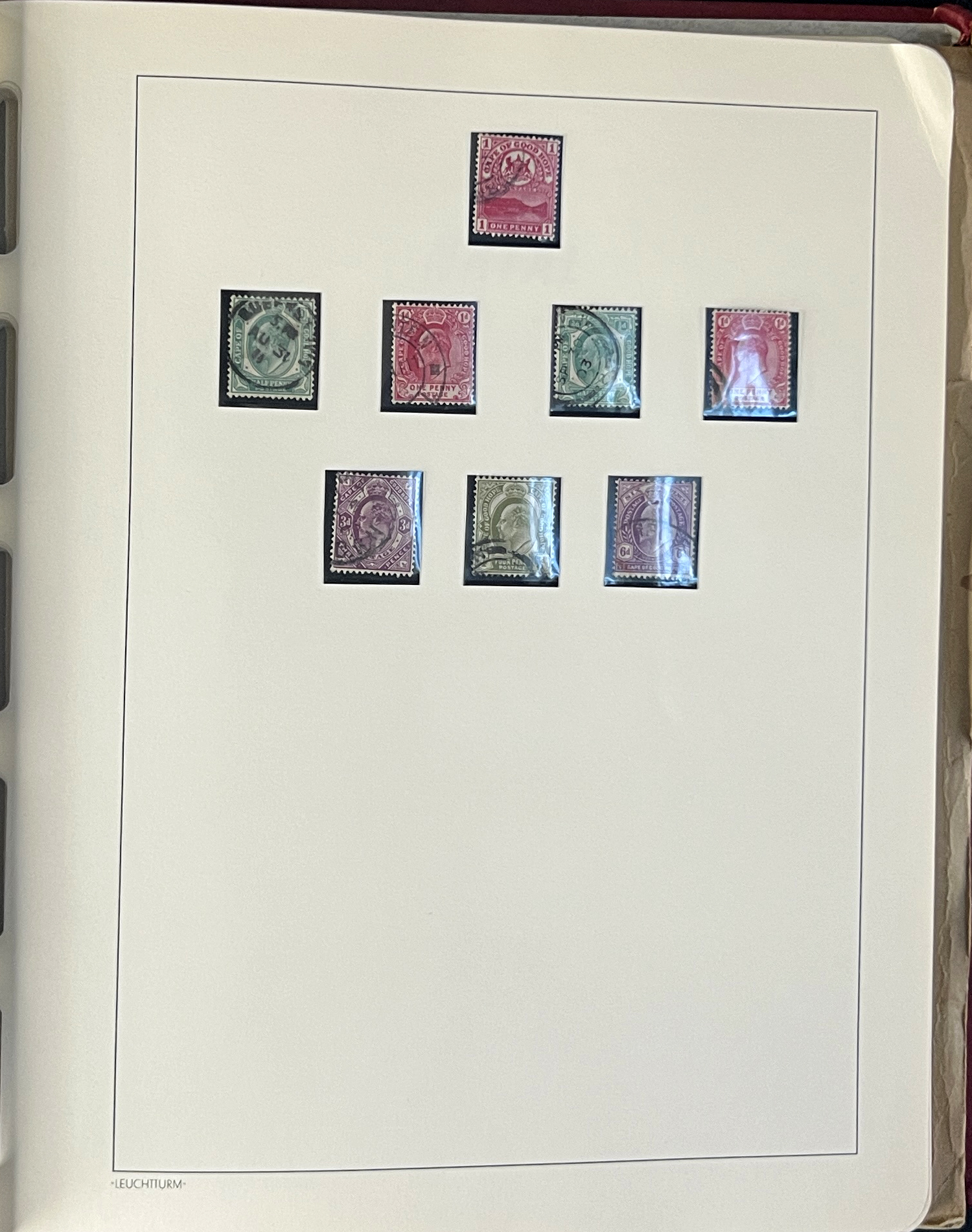 20260209_183343893_iOS.jpg