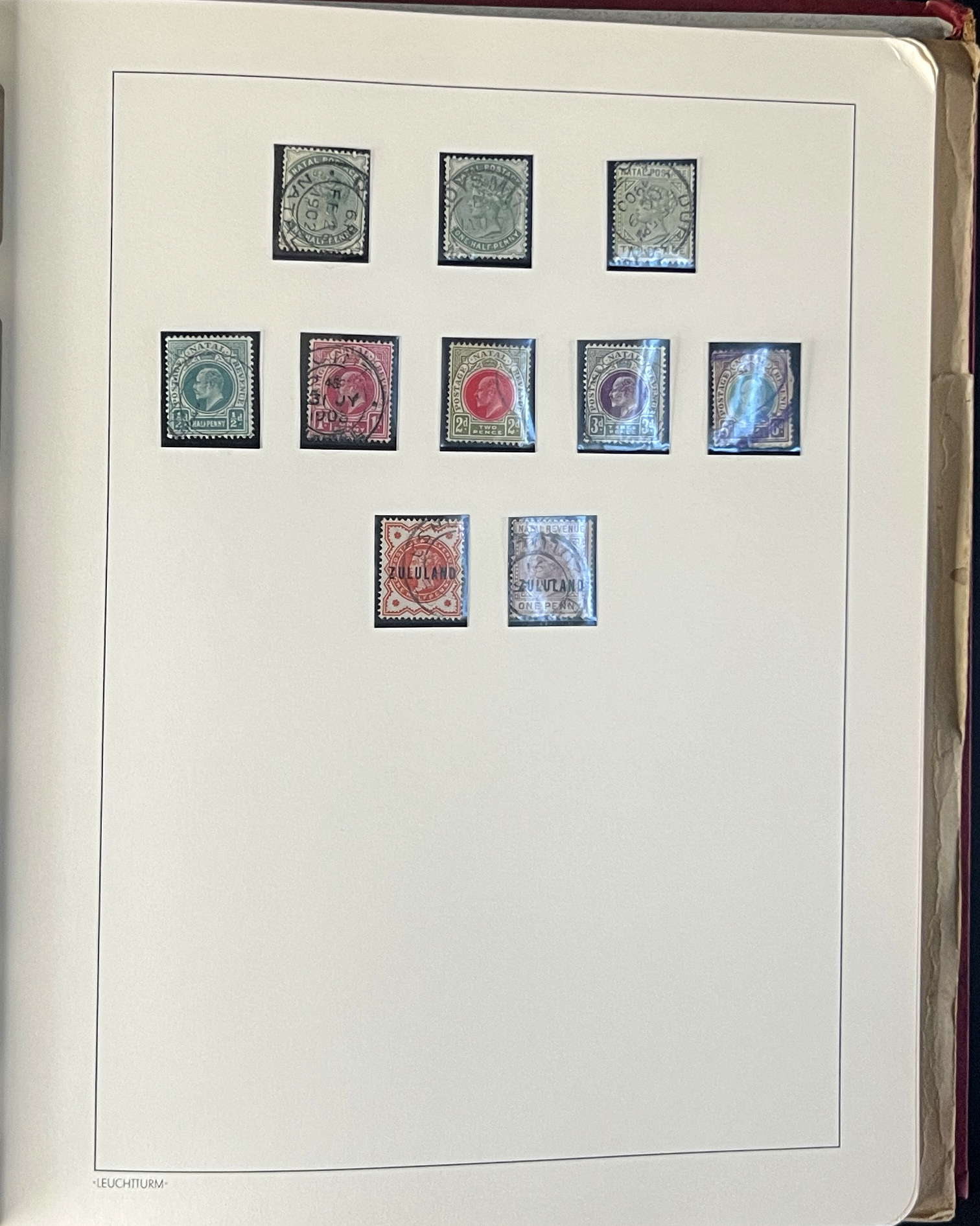 20260209_183349104_iOS.jpg