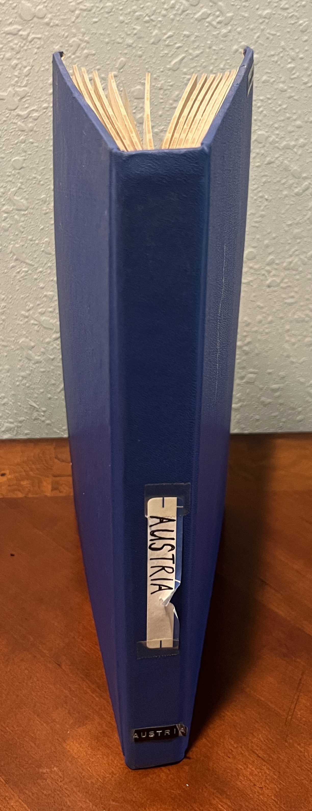 20260312_183919572_iOS.jpg