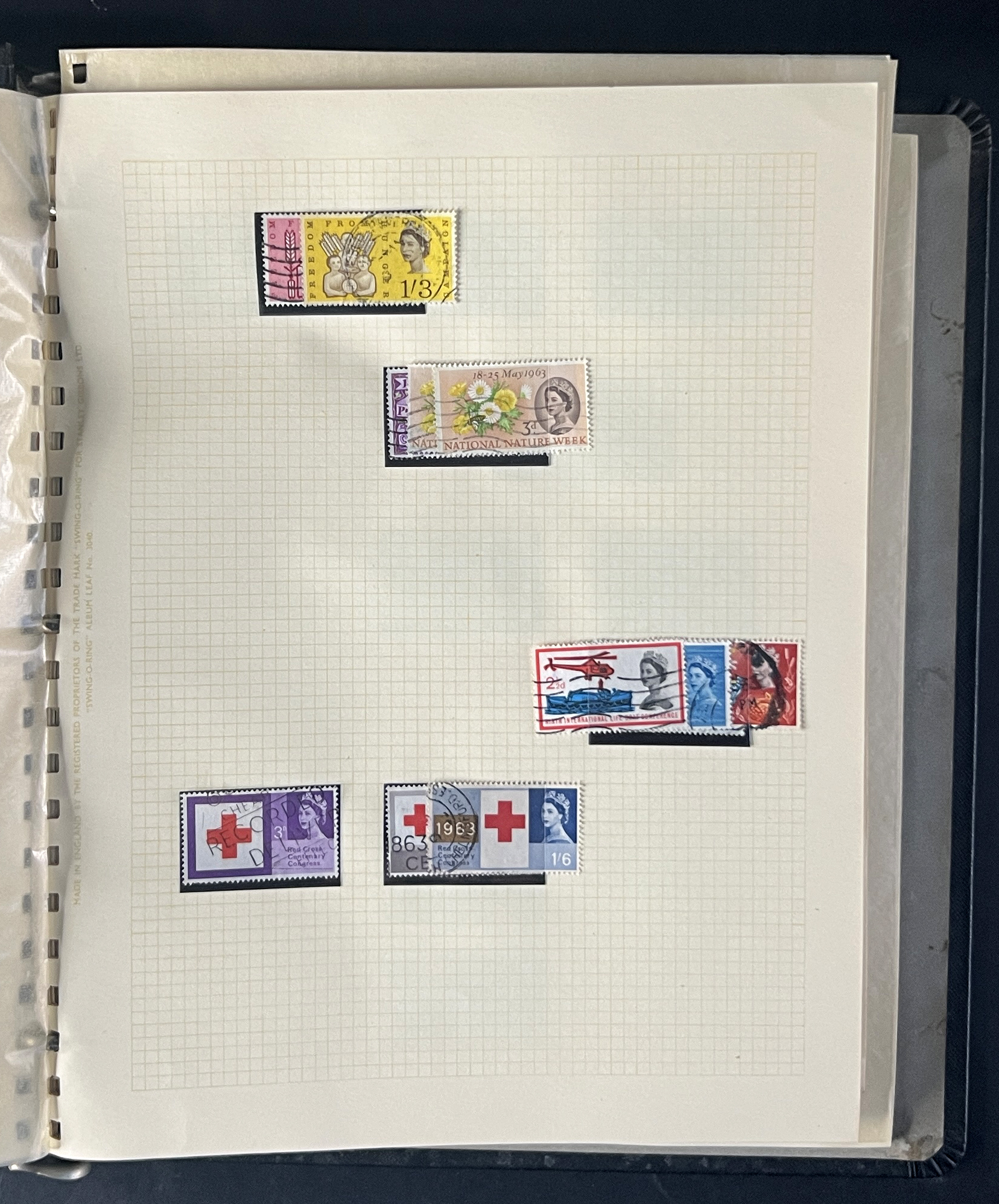 20260209_185535635_iOS.jpg
