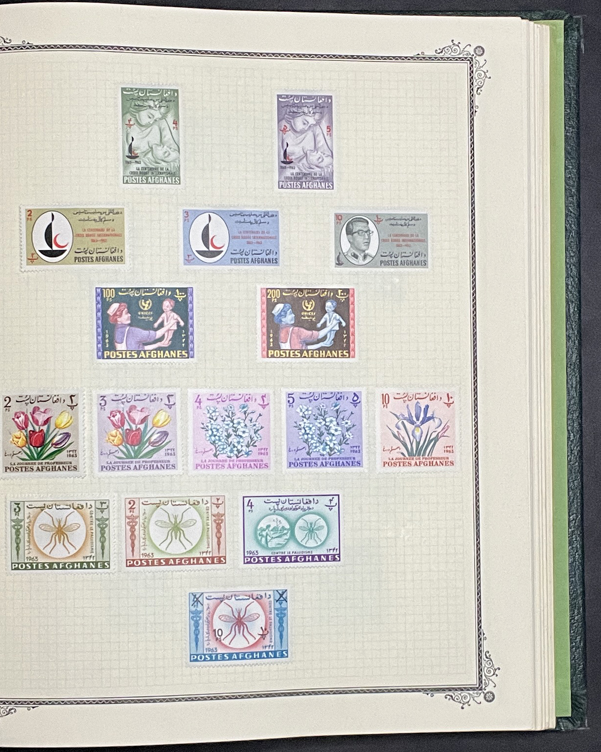 20260301_000013230_iOS.jpg