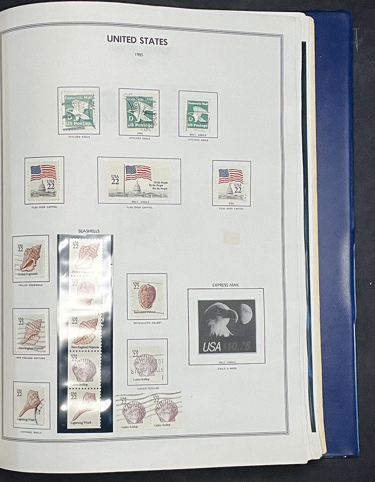 20260227_170106871_iOS.jpg