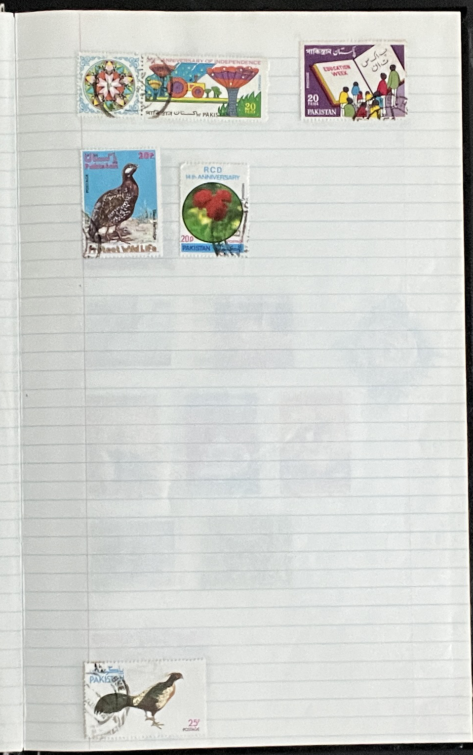 20260228_212857394_iOS.jpg