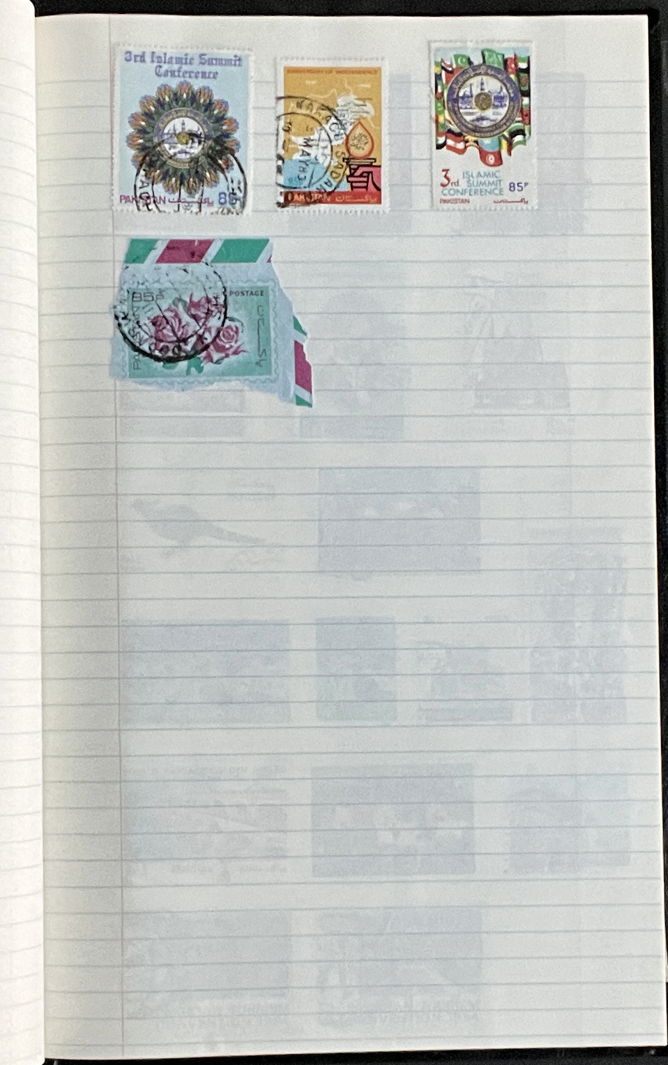 20260228_212908881_iOS.jpg
