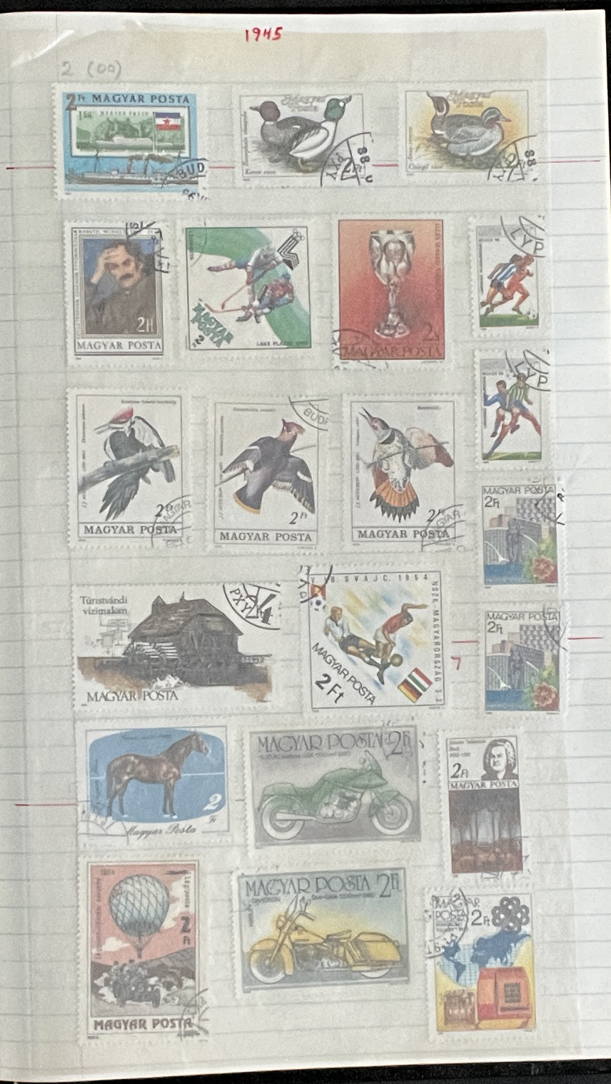 20260228_213027612_iOS.jpg