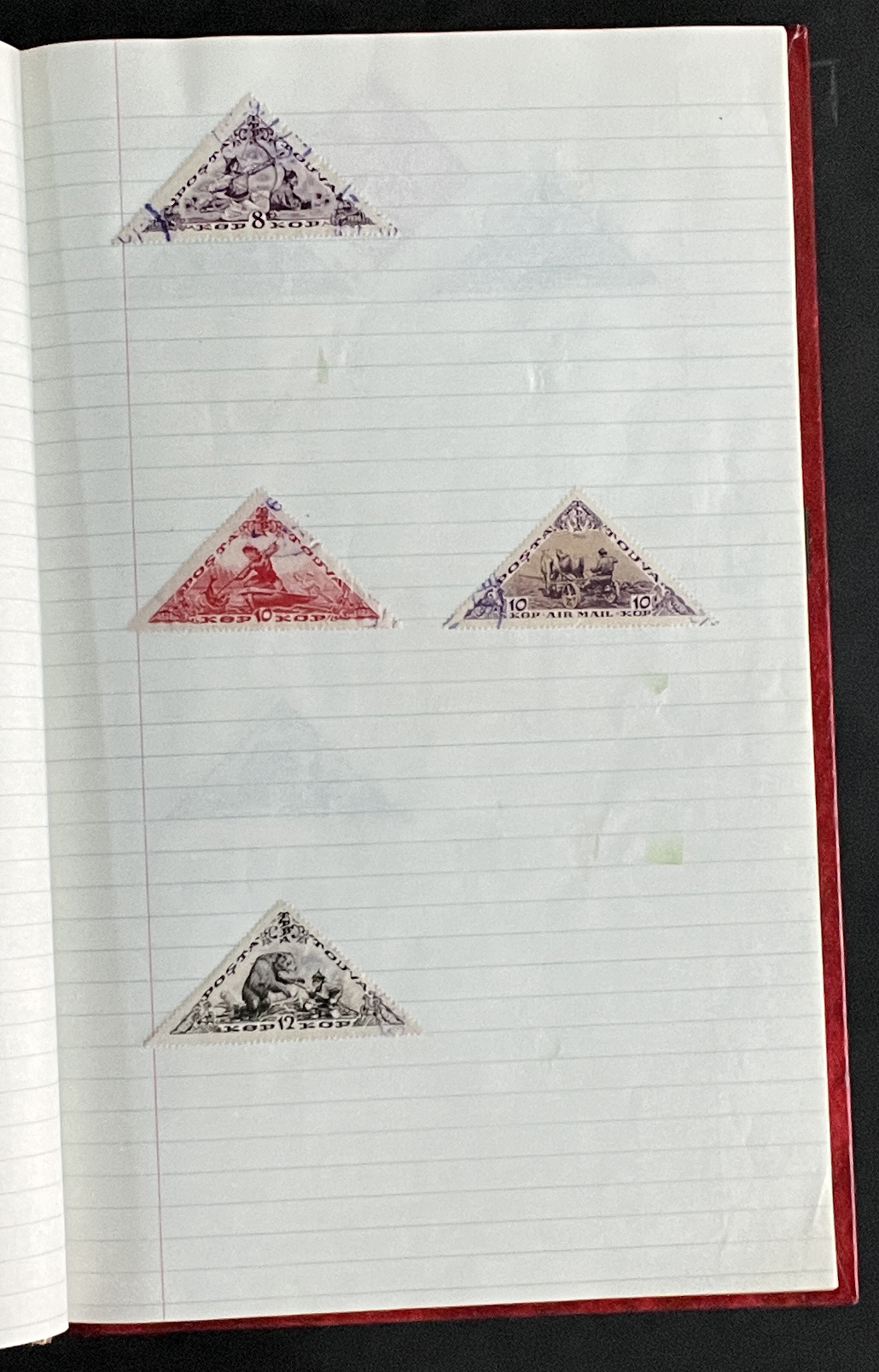 20260228_214107387_iOS.jpg