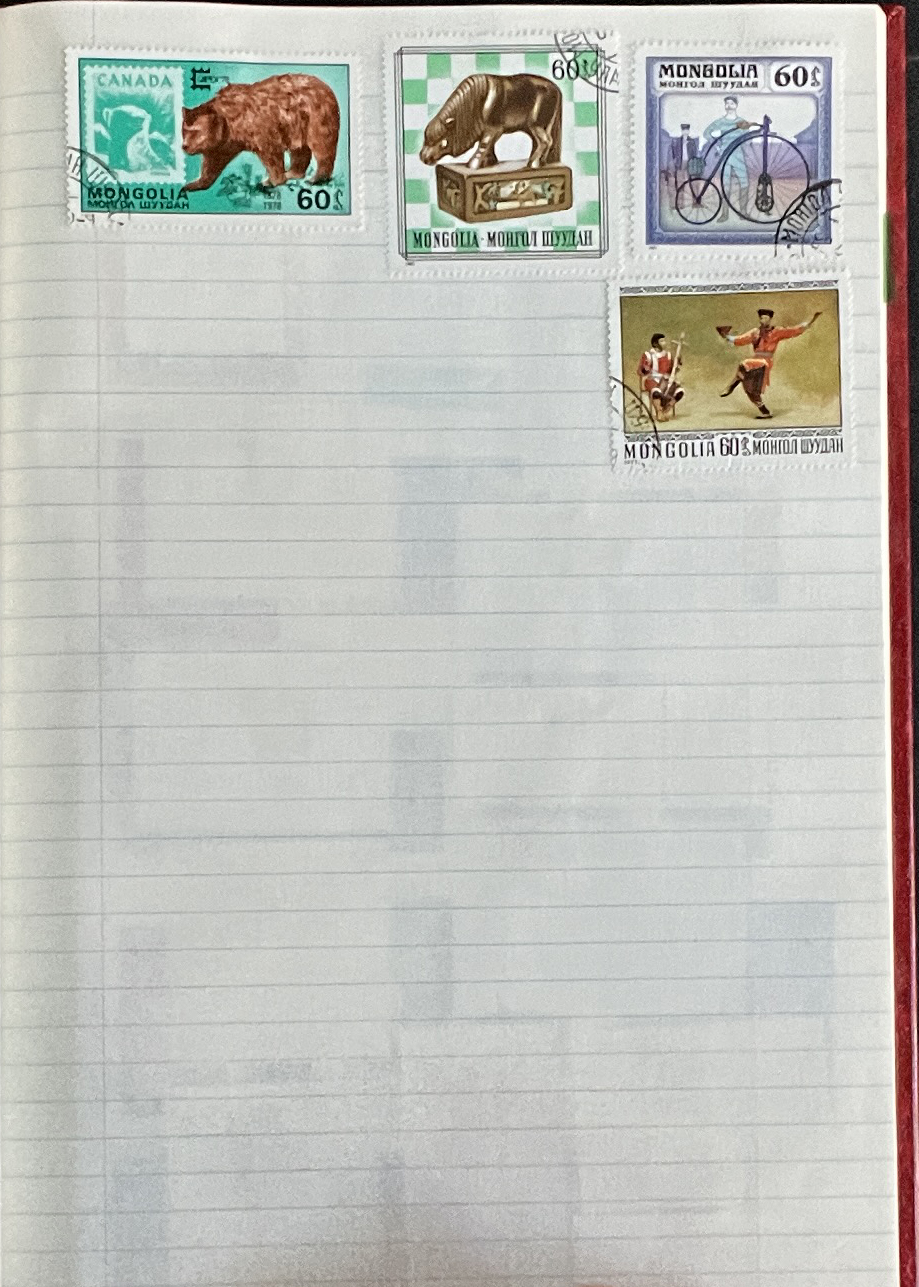 20260228_213847901_iOS.jpg