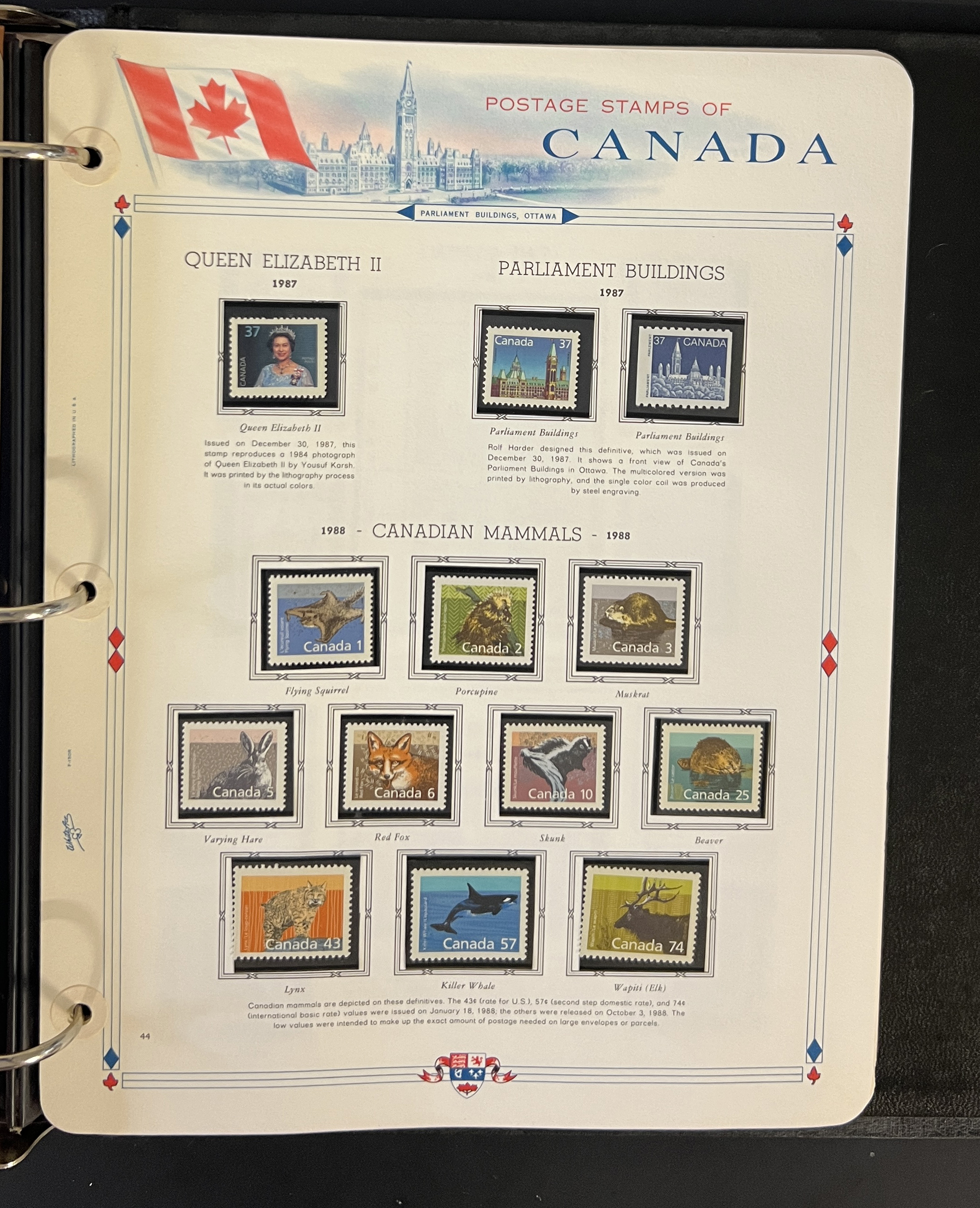 20260327_225145525_iOS.jpg