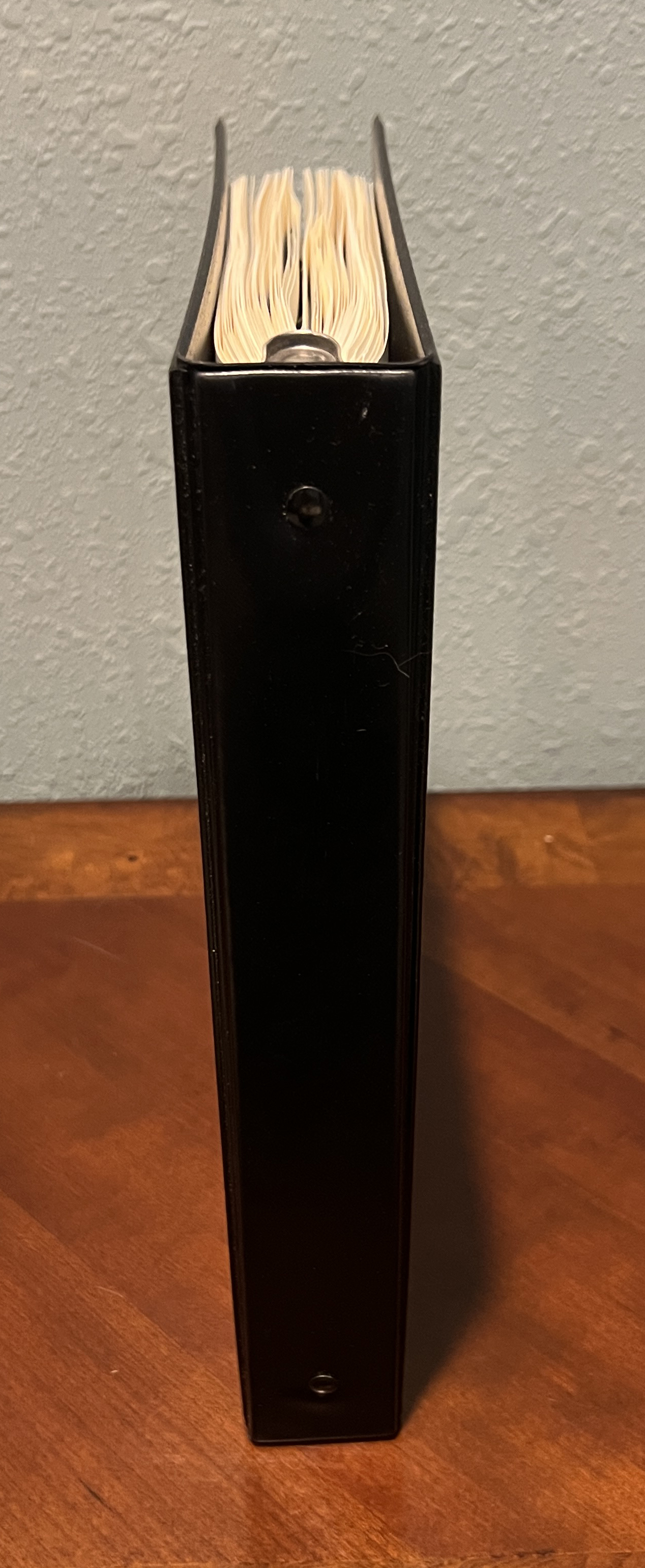 20260327_210407886_iOS.jpg