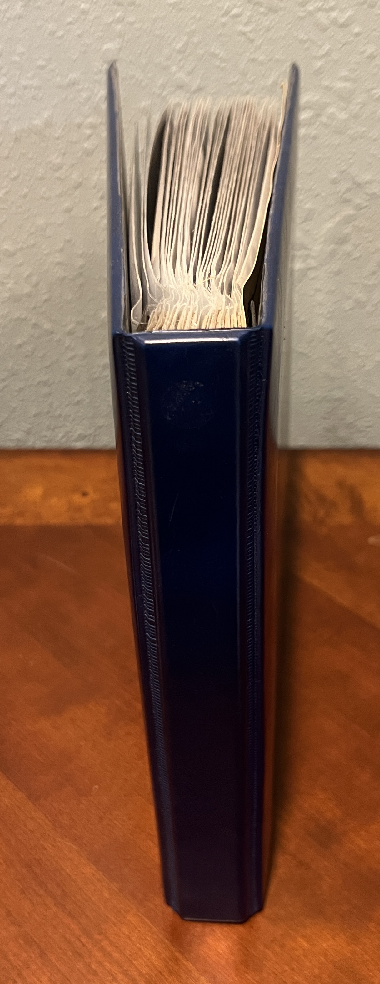 20260402_165812516_iOS.jpg