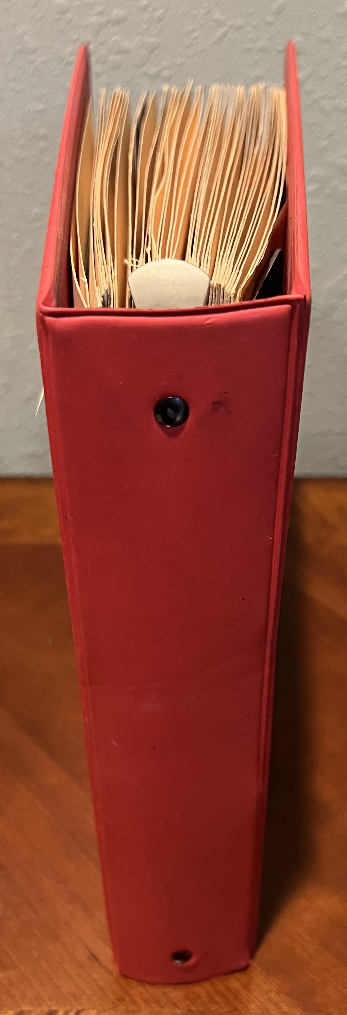 20260402_174206635_iOS.jpg