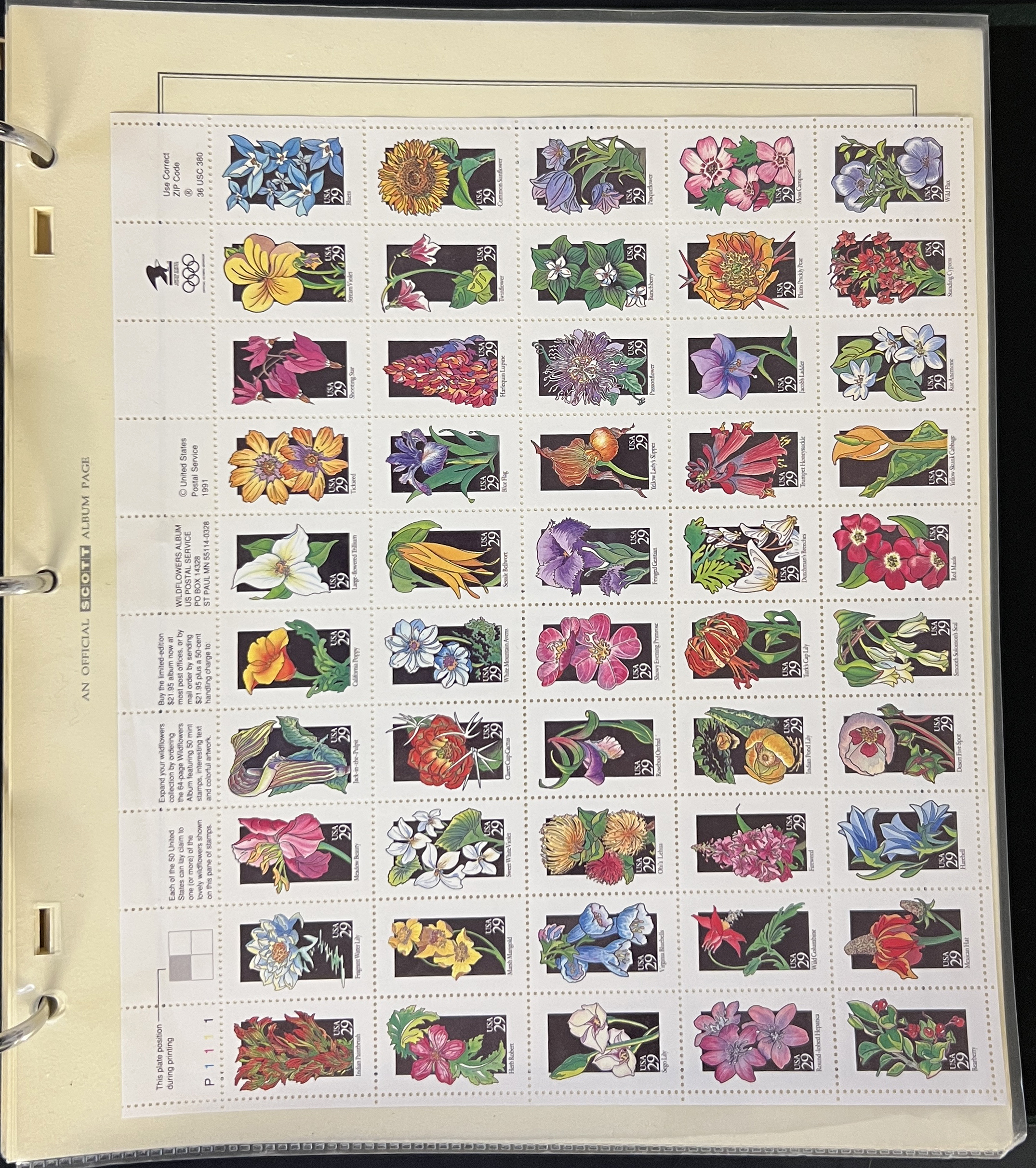 20260416_164957819_iOS.jpg