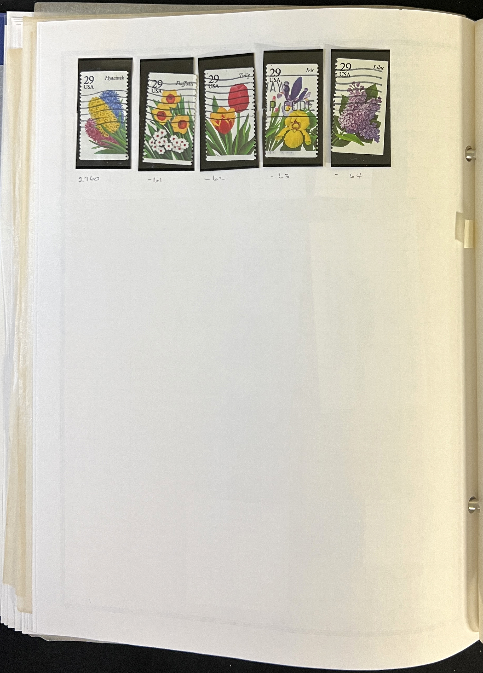 20260417_194038693_iOS.jpg