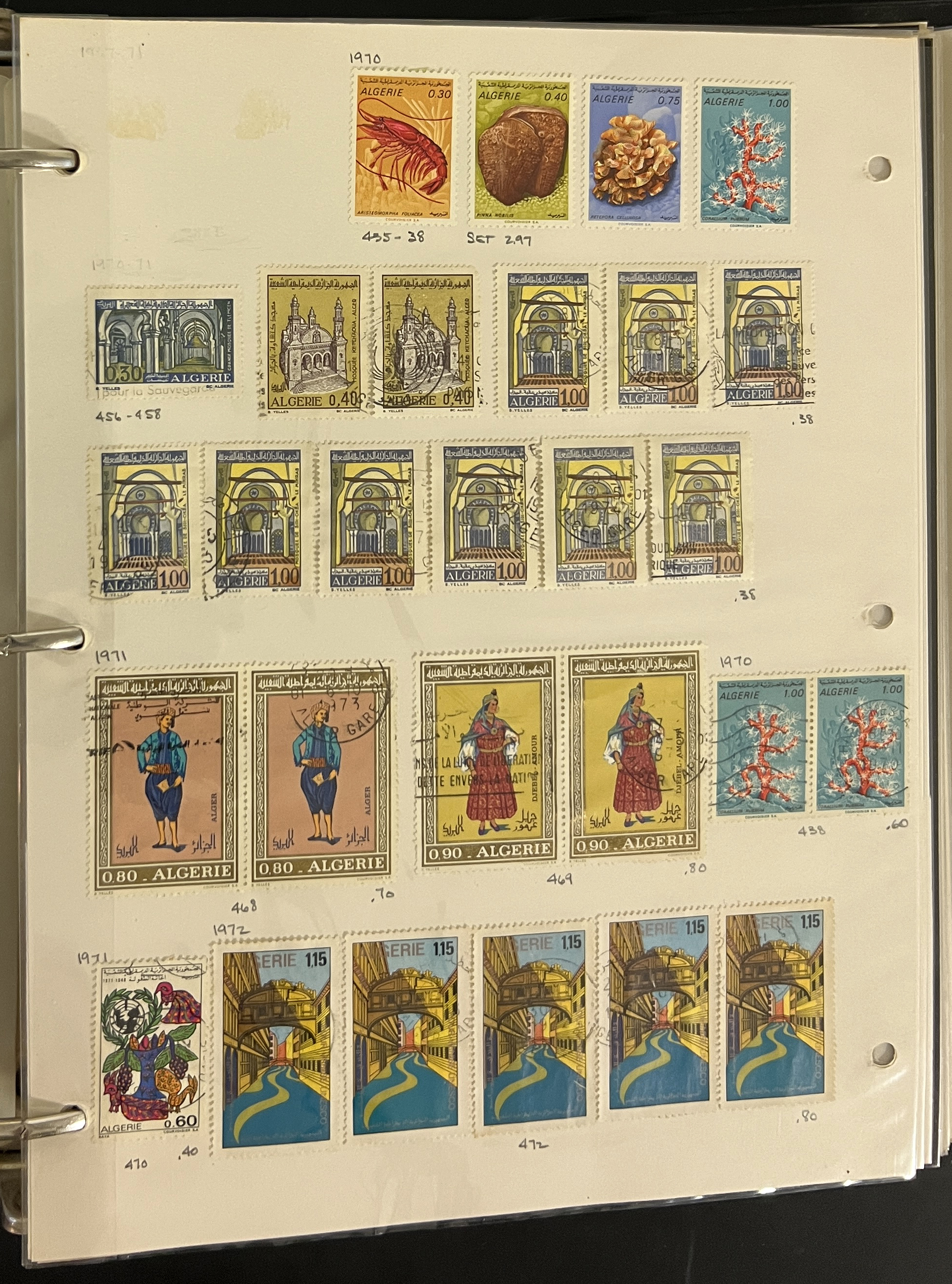 20260504_204231968_iOS.jpg