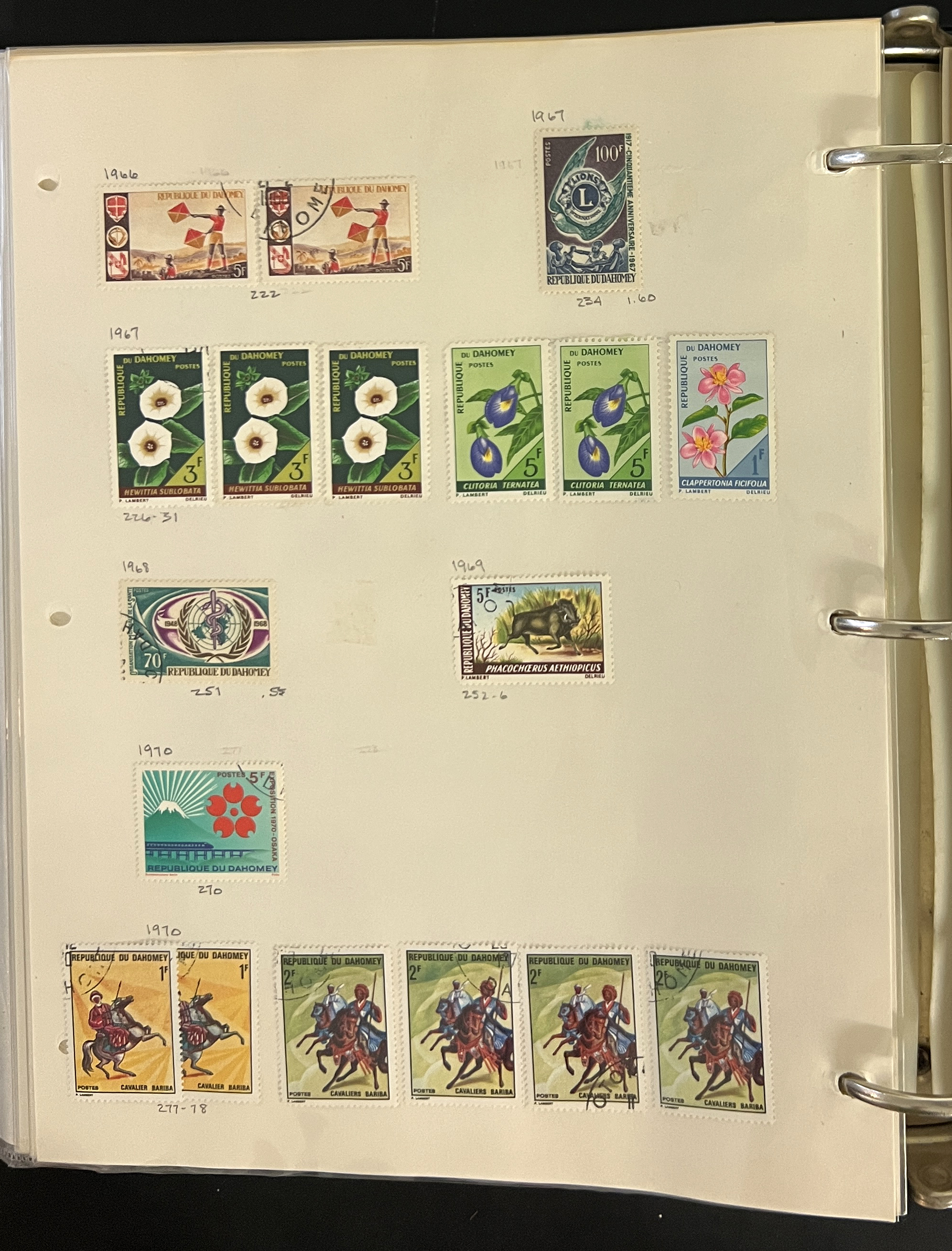 20260504_204508412_iOS.jpg