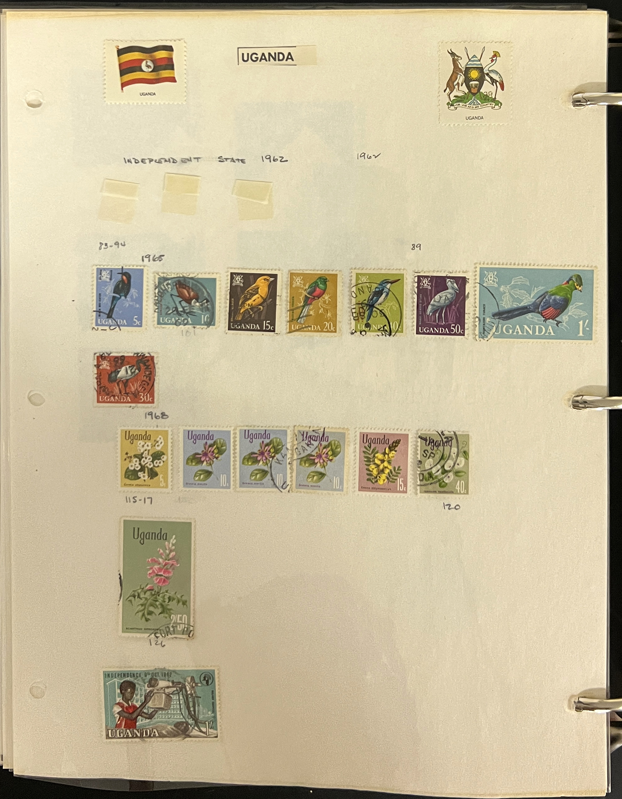 20260504_205304292_iOS.jpg