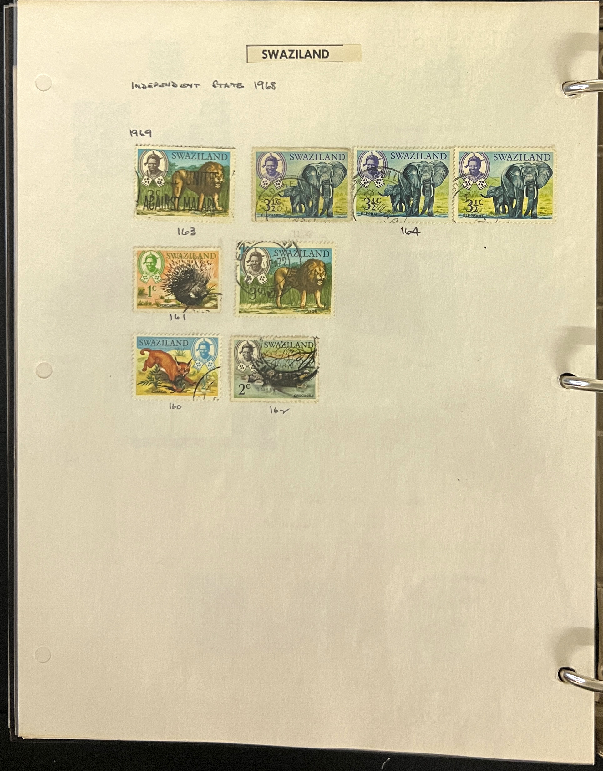20260504_205453598_iOS.jpg