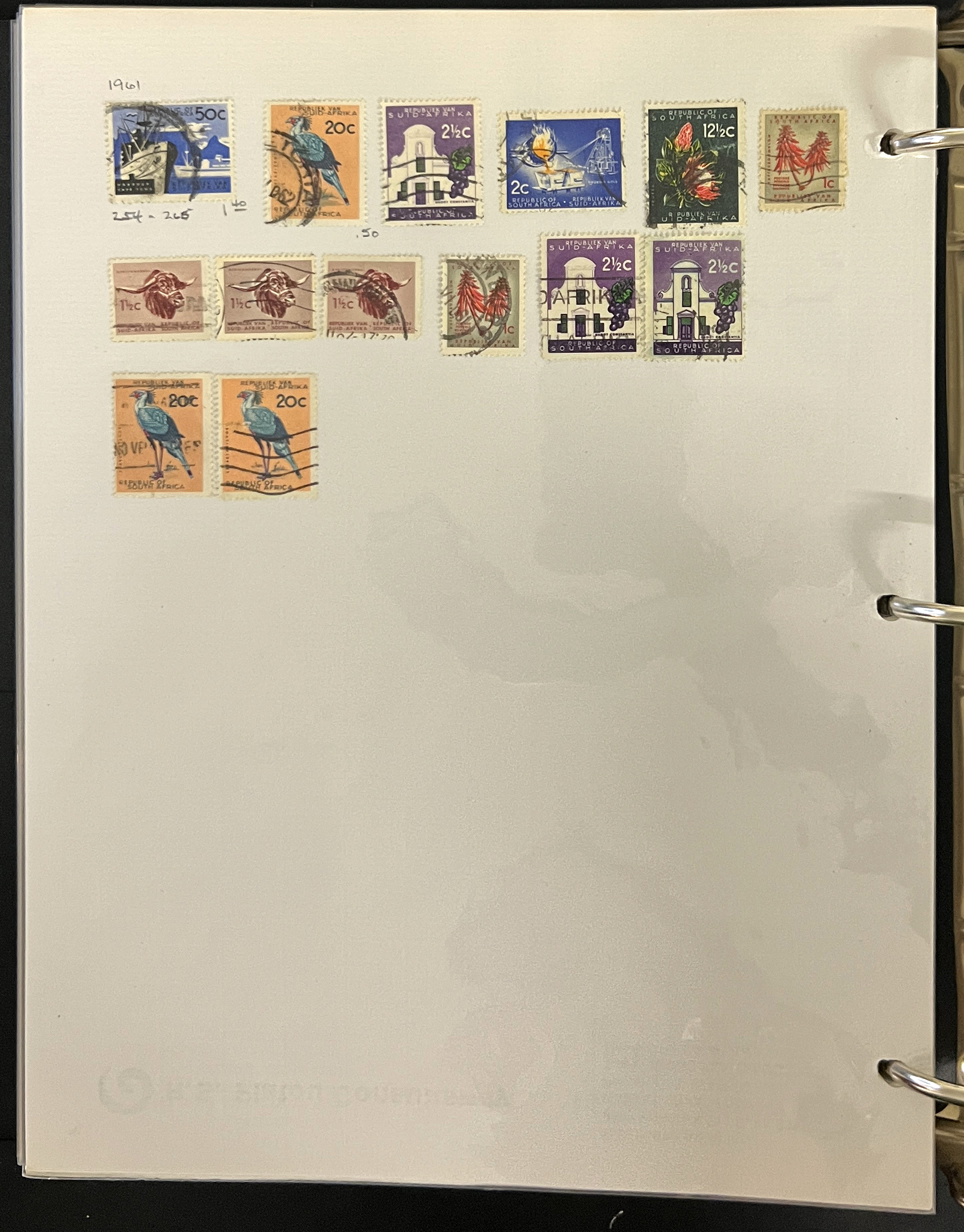 20260504_205509870_iOS.jpg