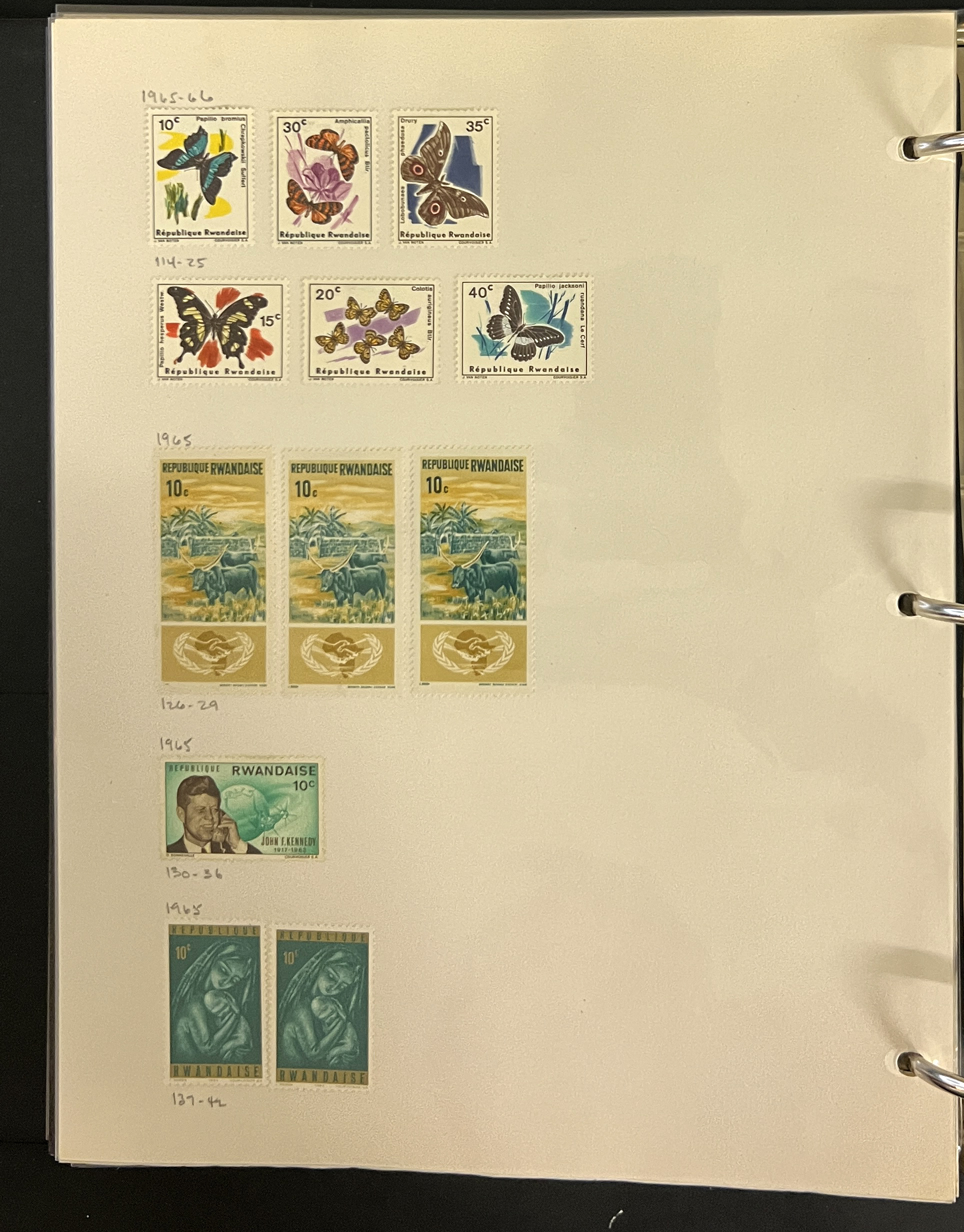 20260504_205545168_iOS.jpg