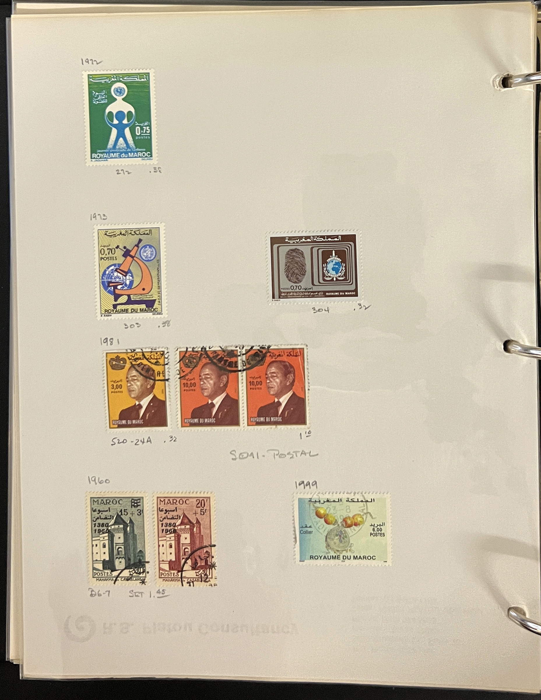 20260504_205558275_iOS.jpg