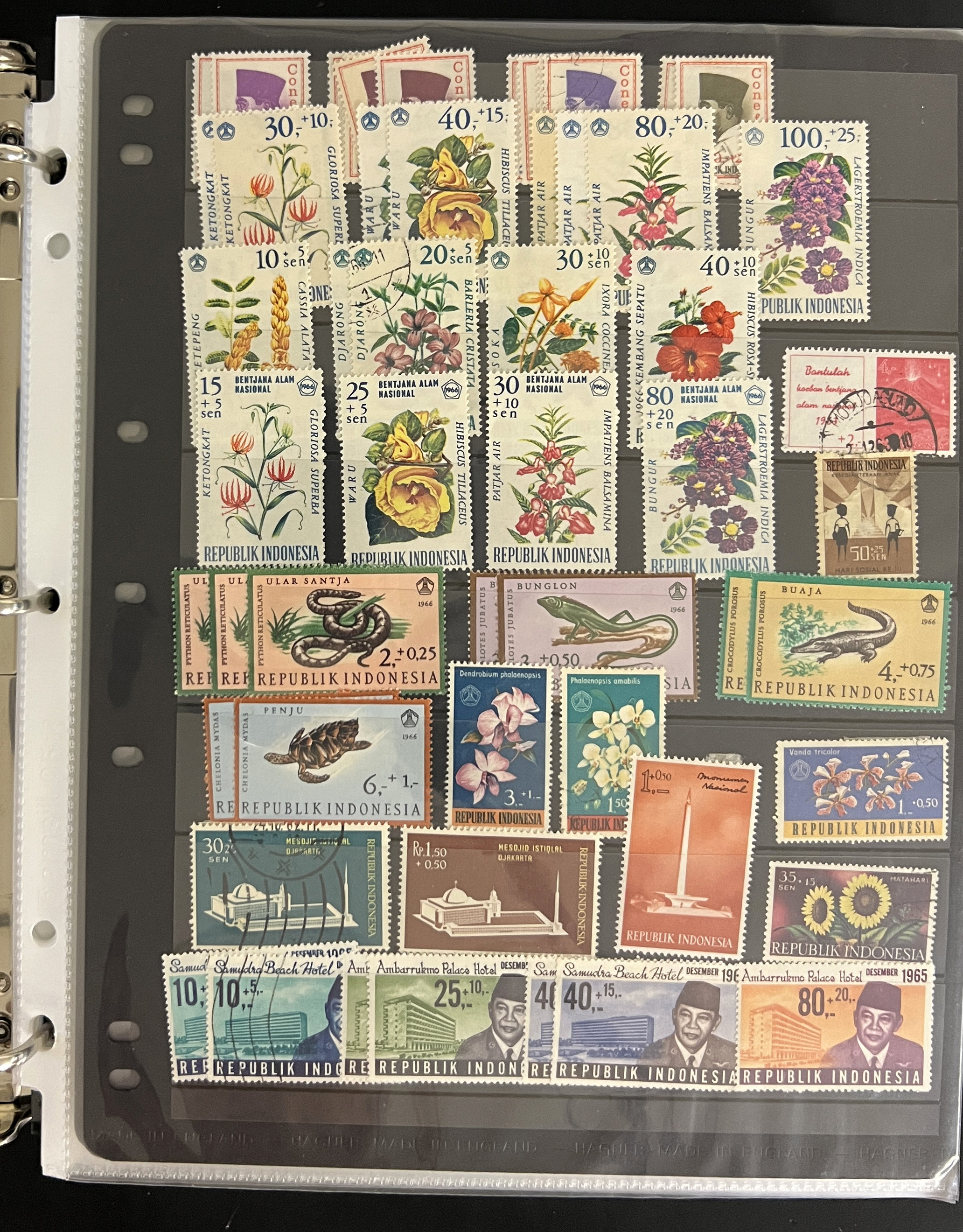 20260504_203709009_iOS.jpg