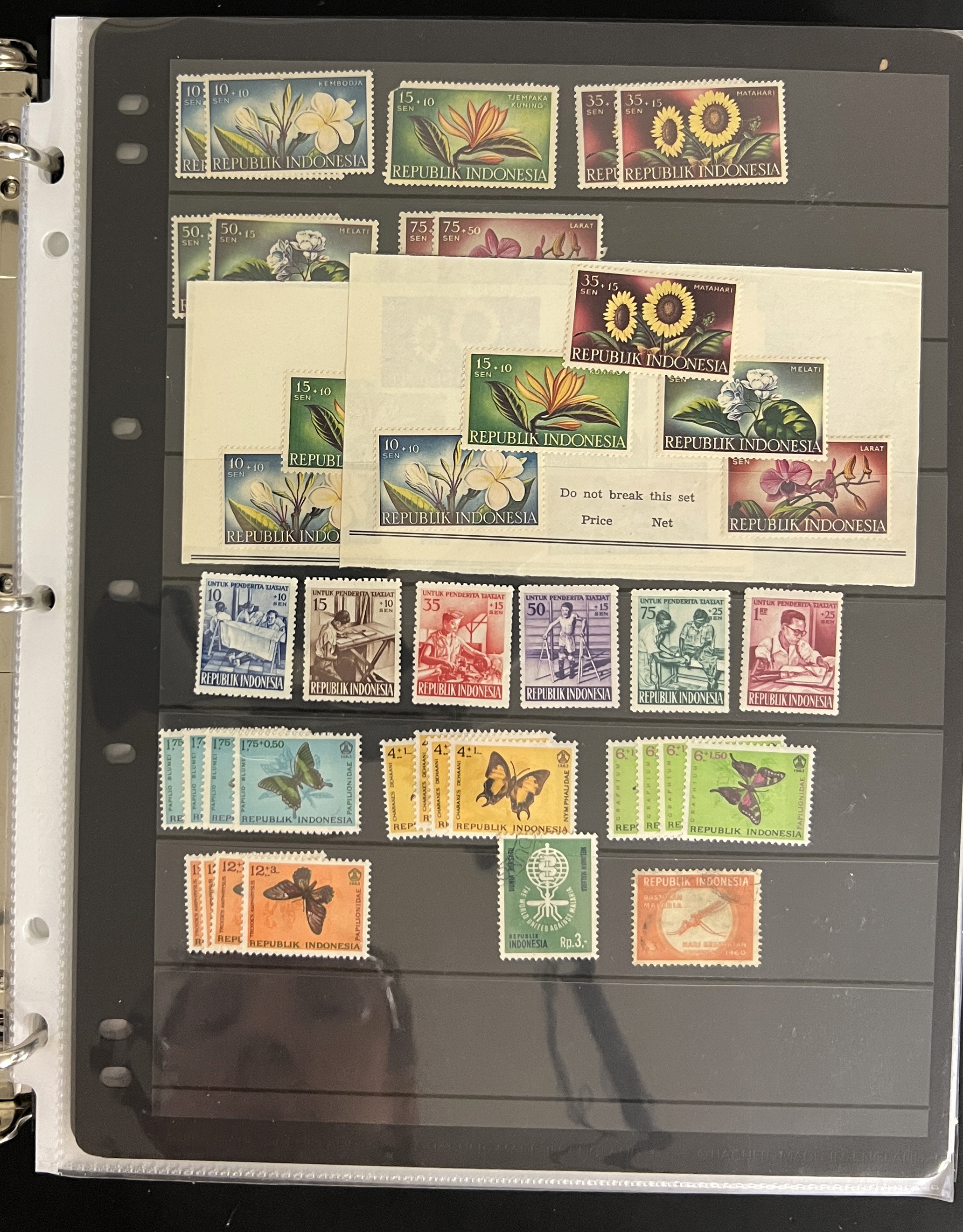 20260504_203711528_iOS.jpg