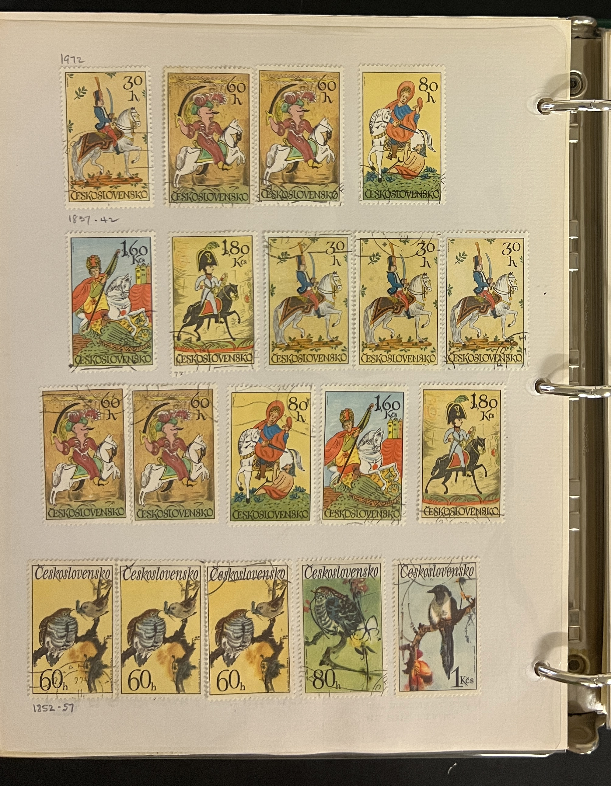 20260504_201002722_iOS.jpg