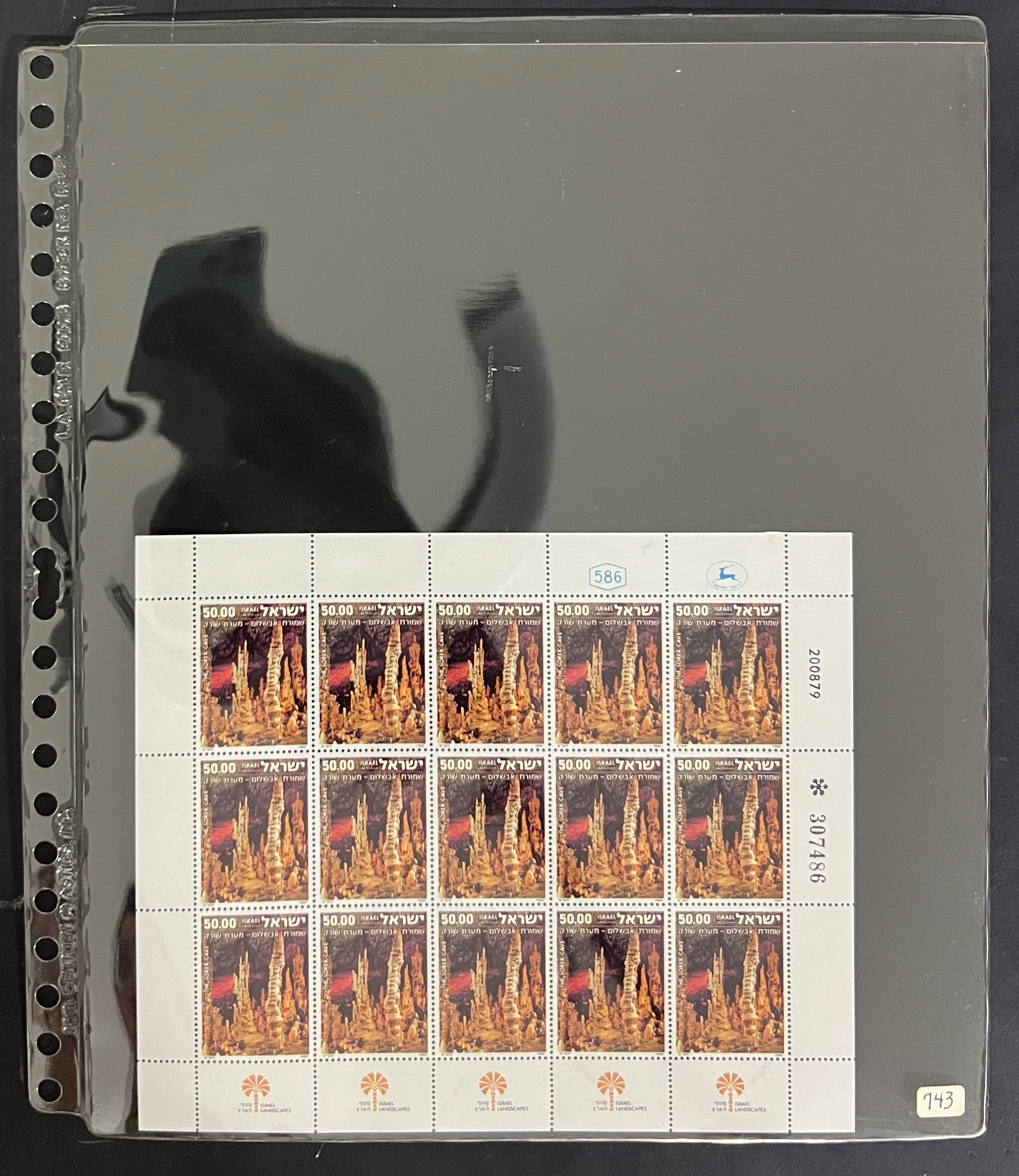 20260505_225512091_iOS.jpg
