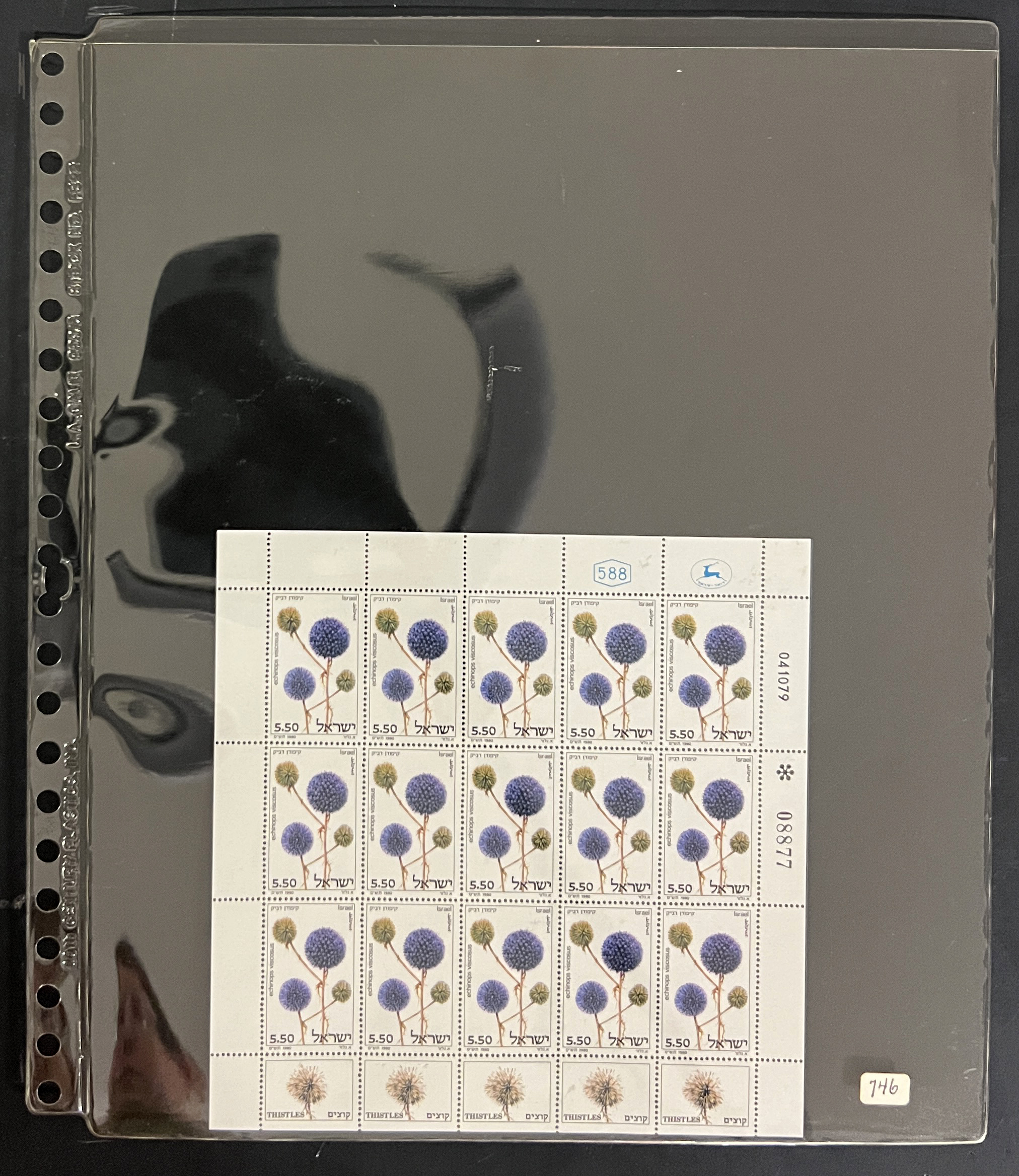 20260505_225534080_iOS.jpg