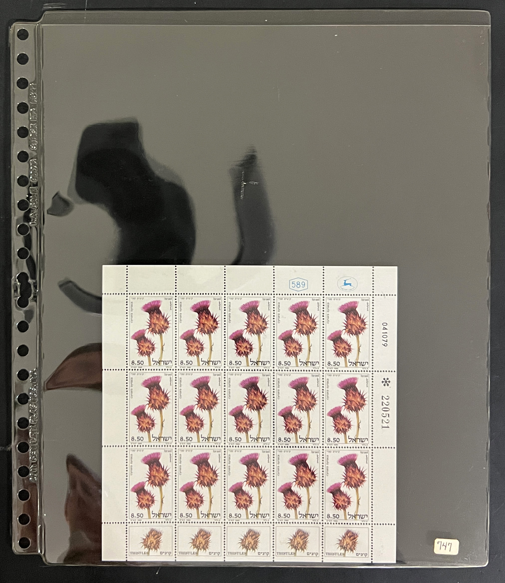 20260505_225629119_iOS.jpg