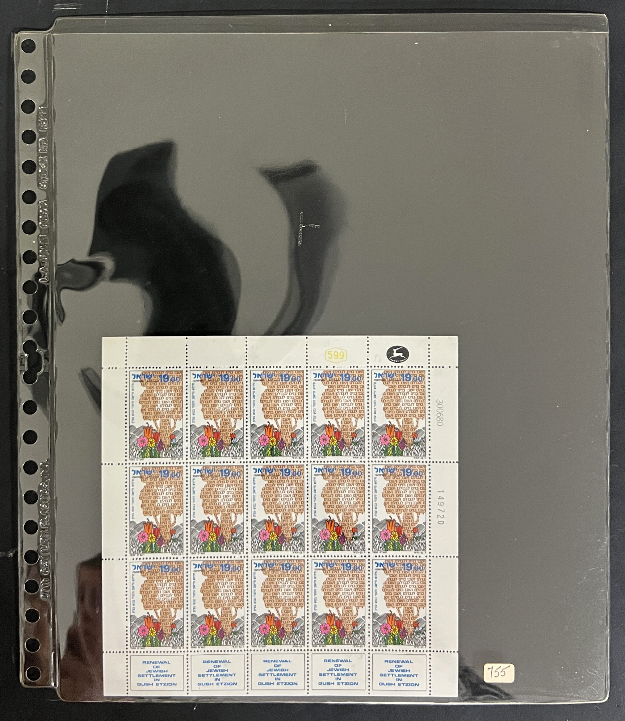 20260505_225726585_iOS.jpg