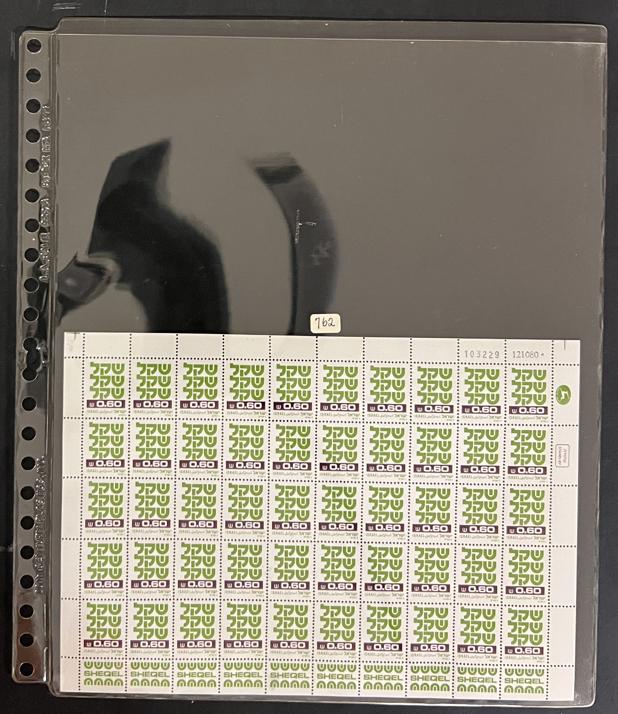 20260505_225805578_iOS.jpg