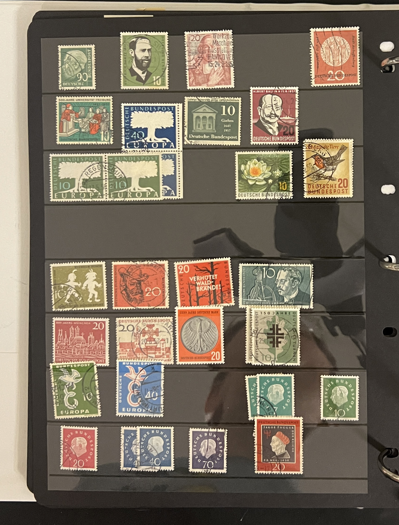 20260506_173743659_iOS.jpg