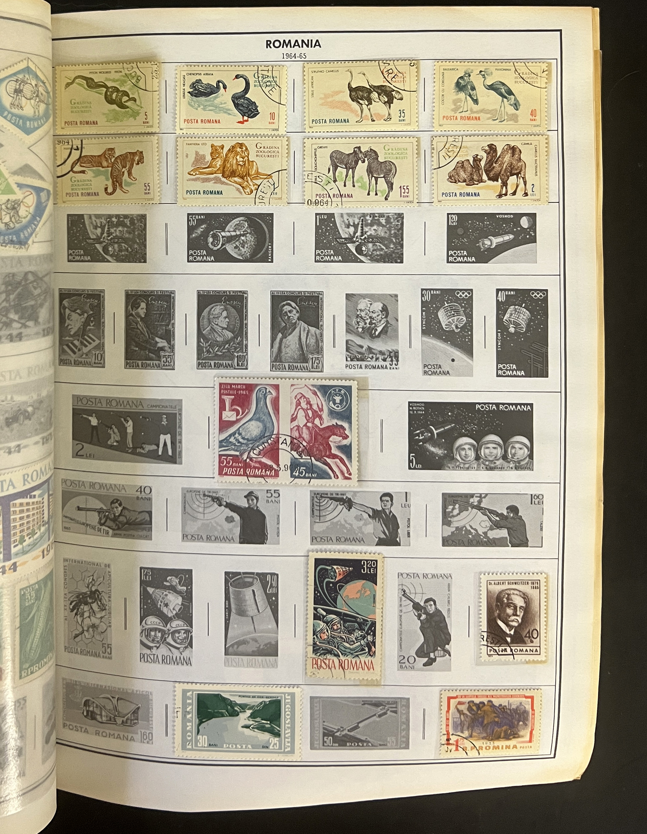 20260506_203229859_iOS.jpg