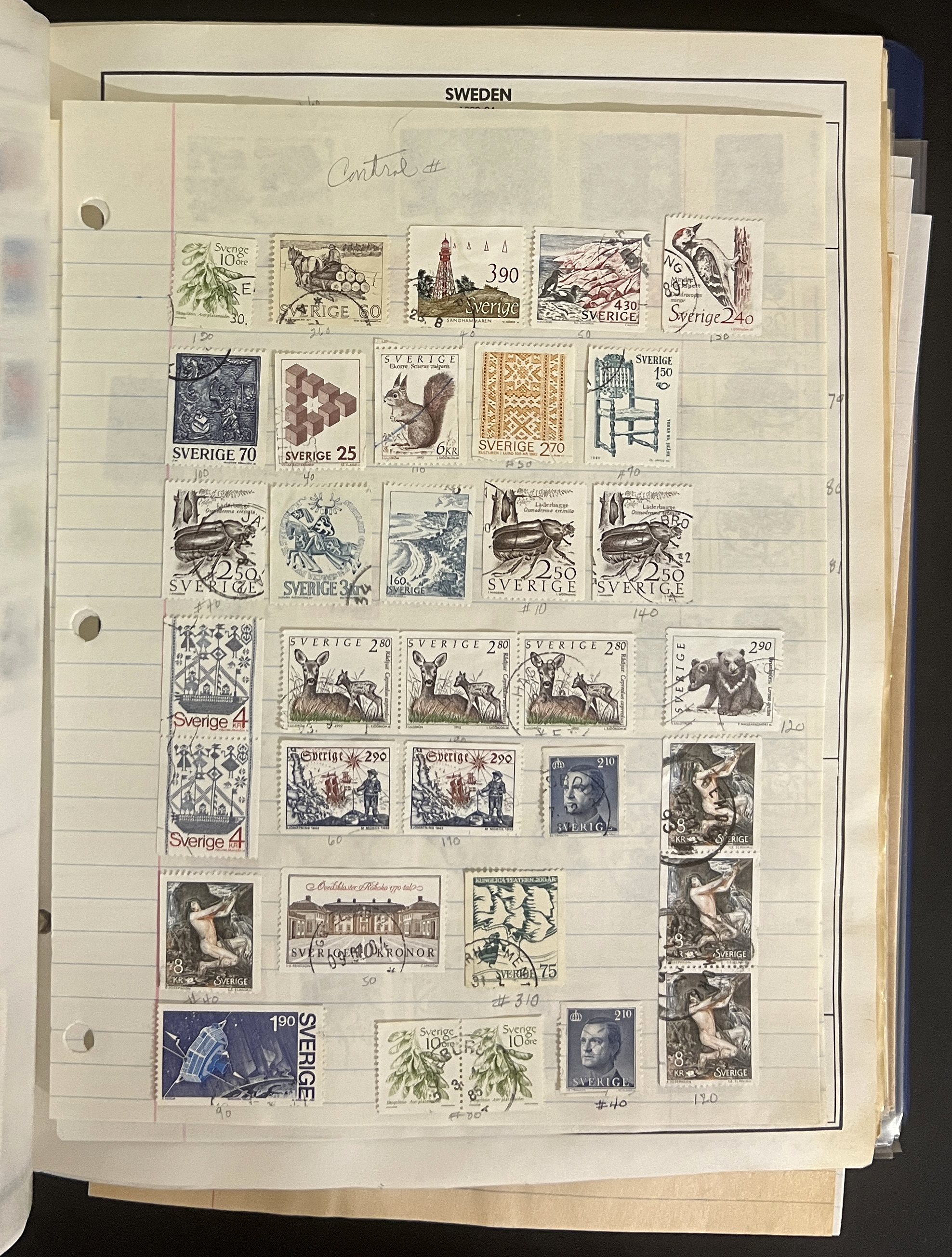 20260506_201051840_iOS.jpg