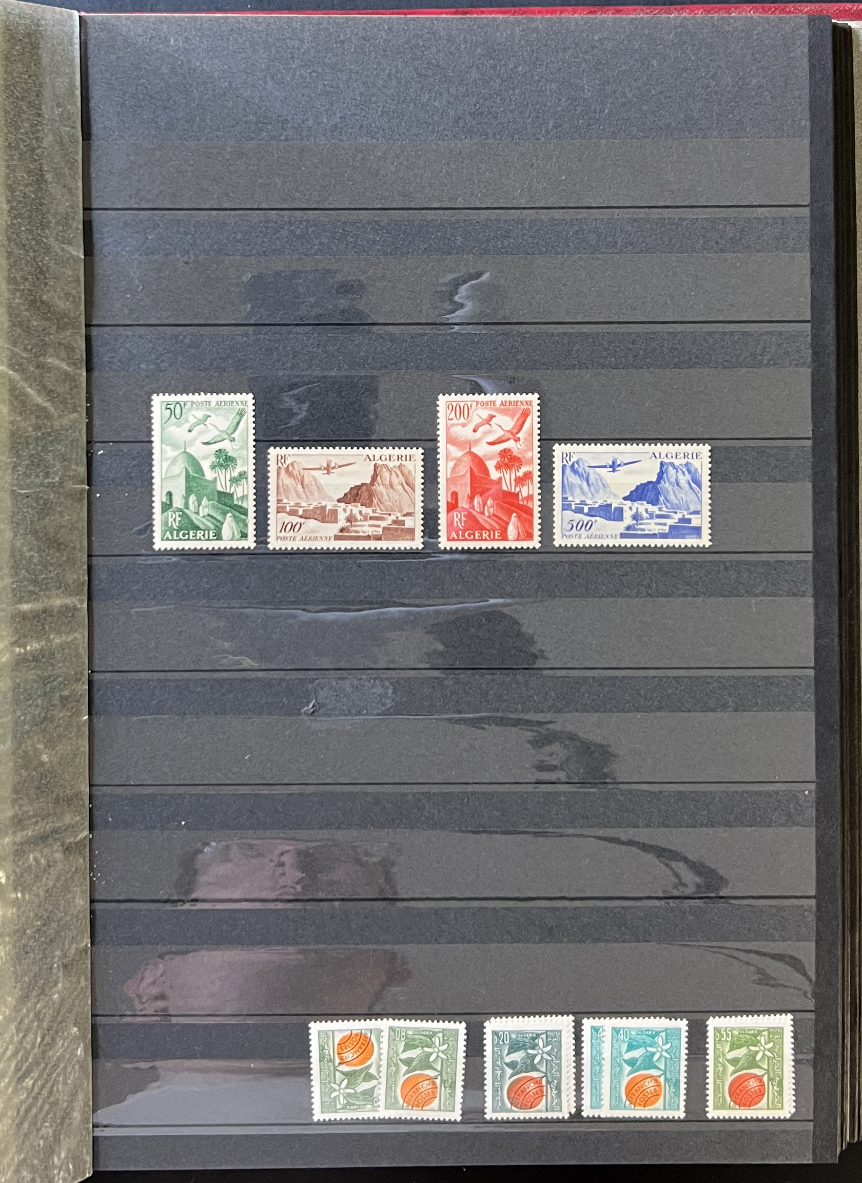 20260610_171646337_iOS.jpg