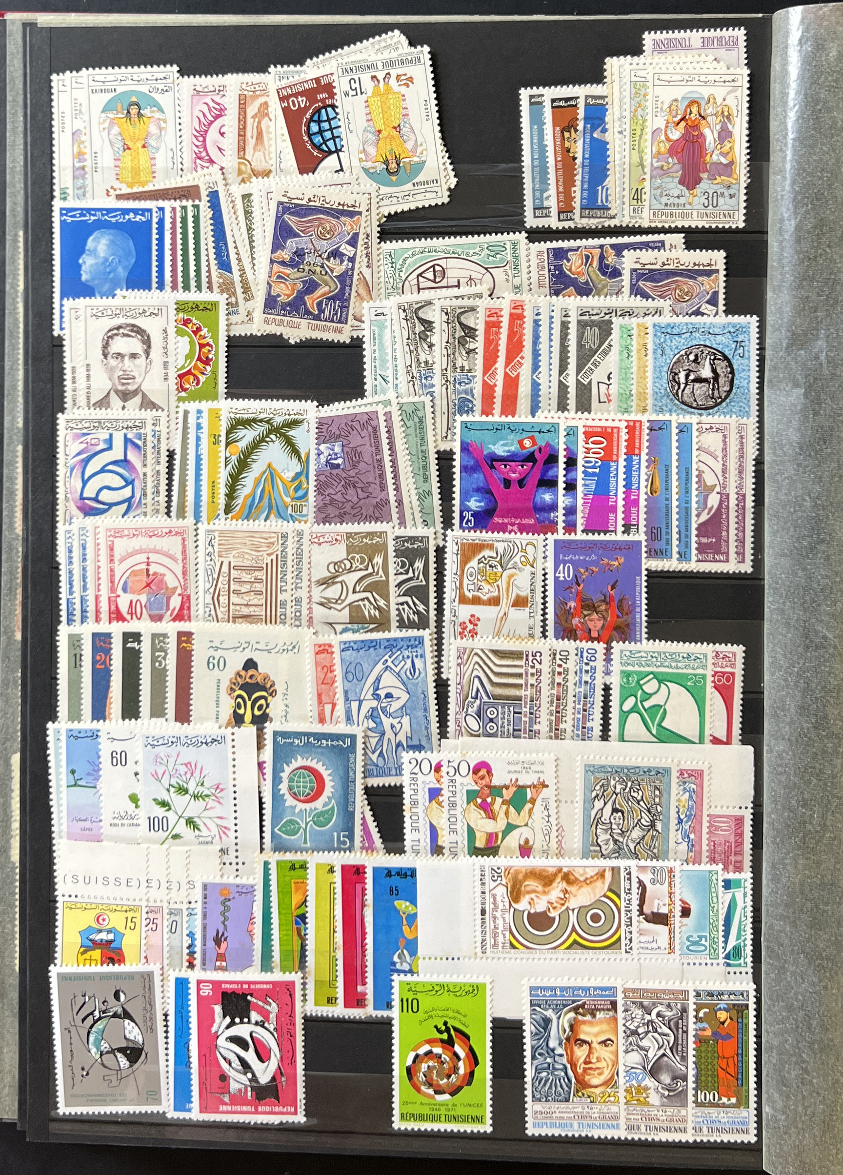 20260610_171806980_iOS.jpg