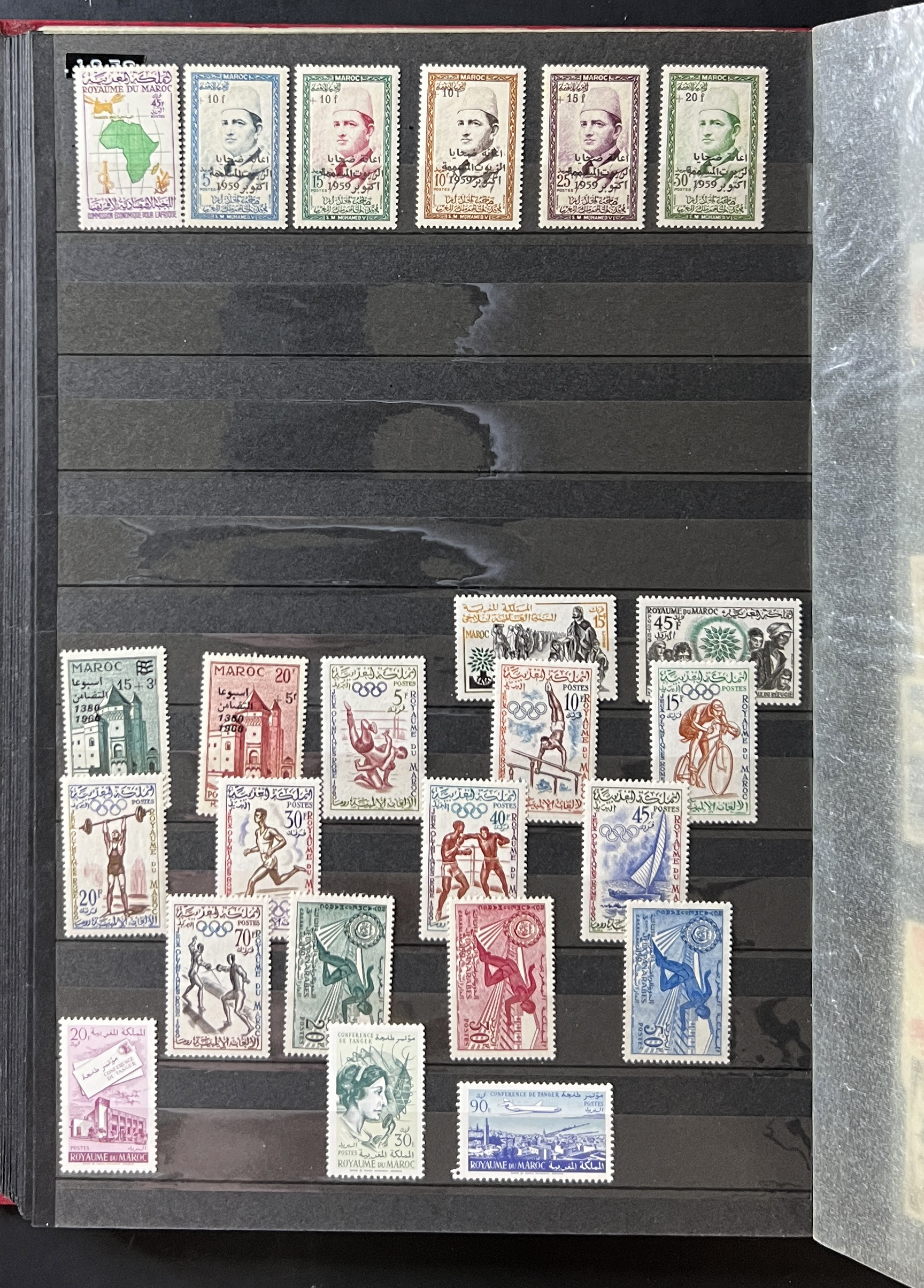 20260610_171853283_iOS.jpg