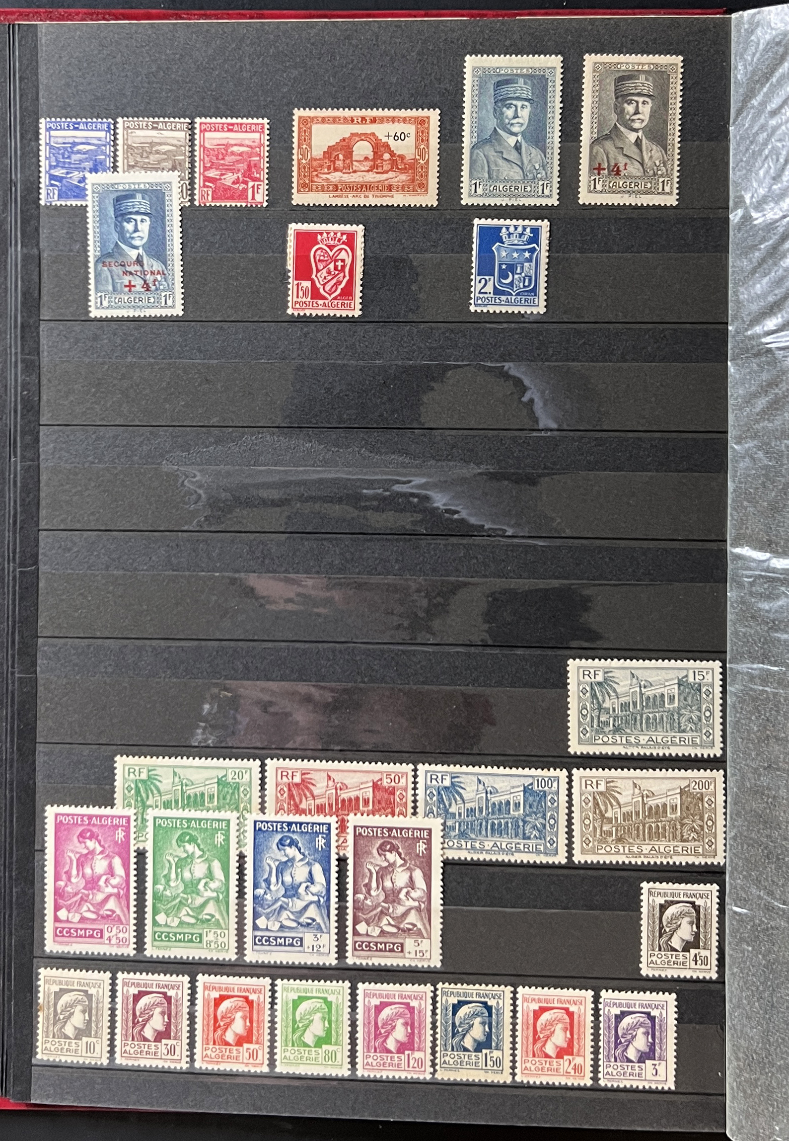 20260610_171943825_iOS.jpg