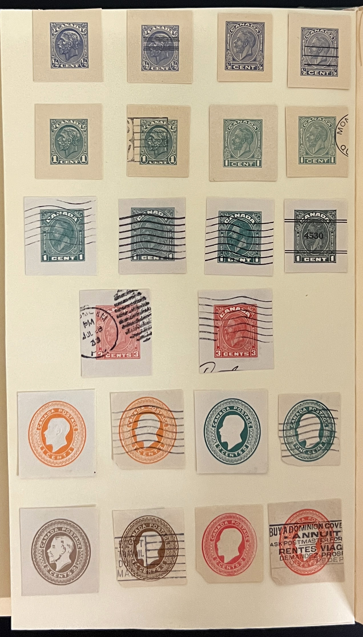 20260611_174027439_iOS.jpg